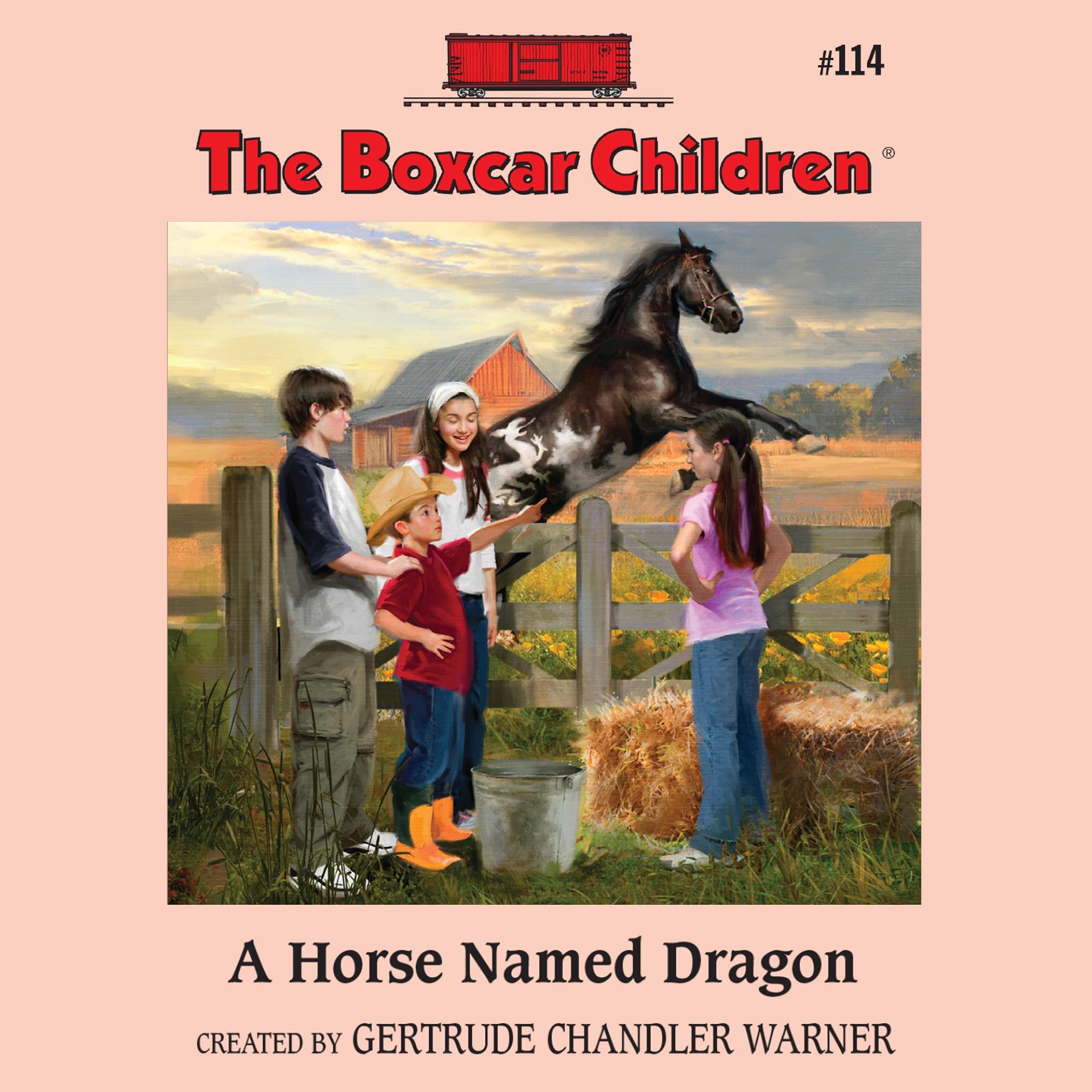 Cover art for A Horse Named Dragon