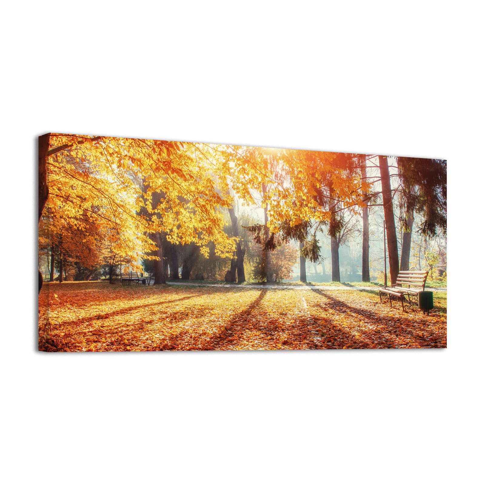 Laoife Autumn Woods Landscape Canvas Prints for Wall Decor, Fall Forest Scenery Pictures on Canvas - Sunlight, Woods & Forest Sunset Wall Art Ready to Hang