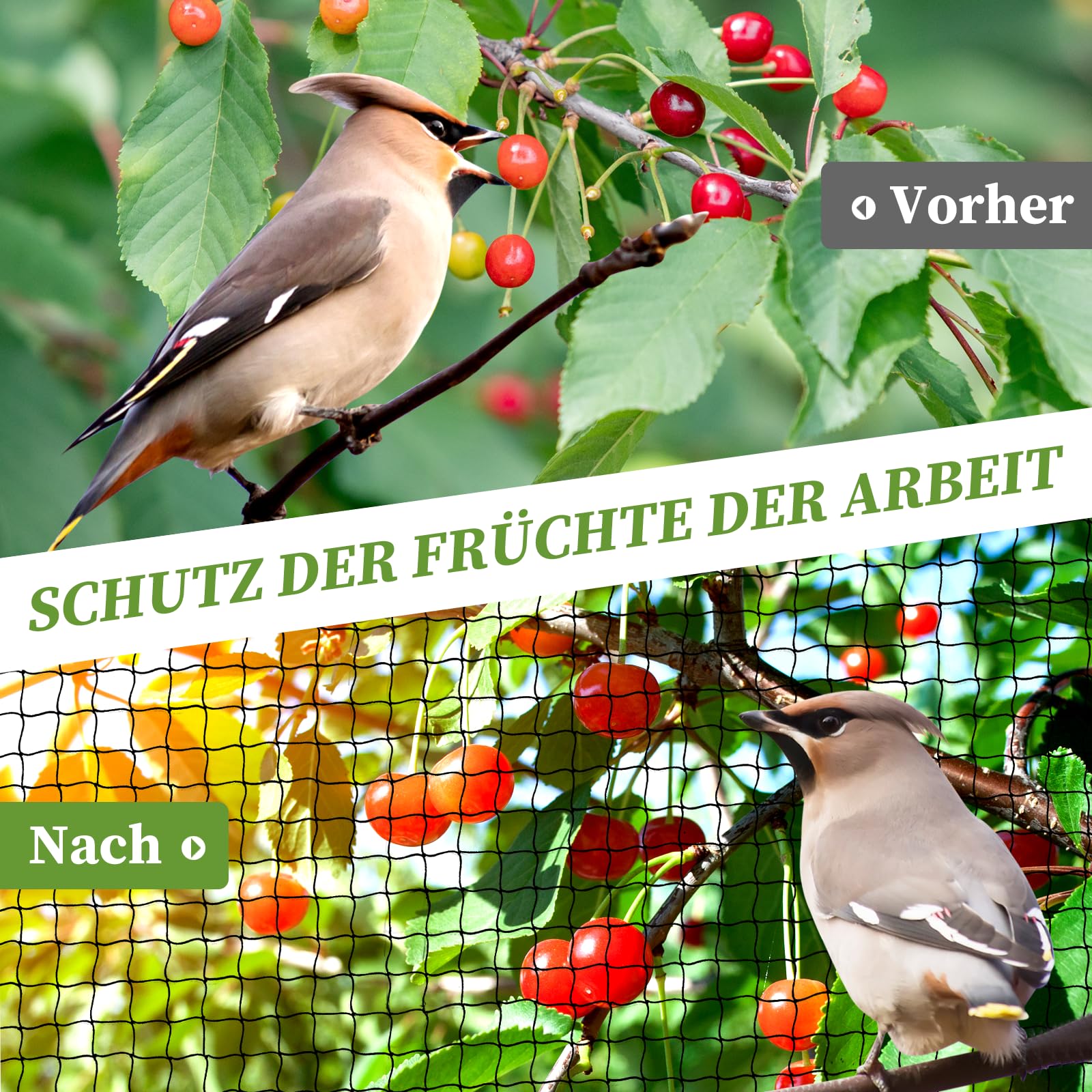 15m x 15m Vogelschutznetz, Vogelnetz mit 2.5cm Feinmaschig für Gartennetz, Teichnetz als Katzennetz für Balkon, UV-beständig Obstbäumenetz Laubnetz mit 6 Bodenanker