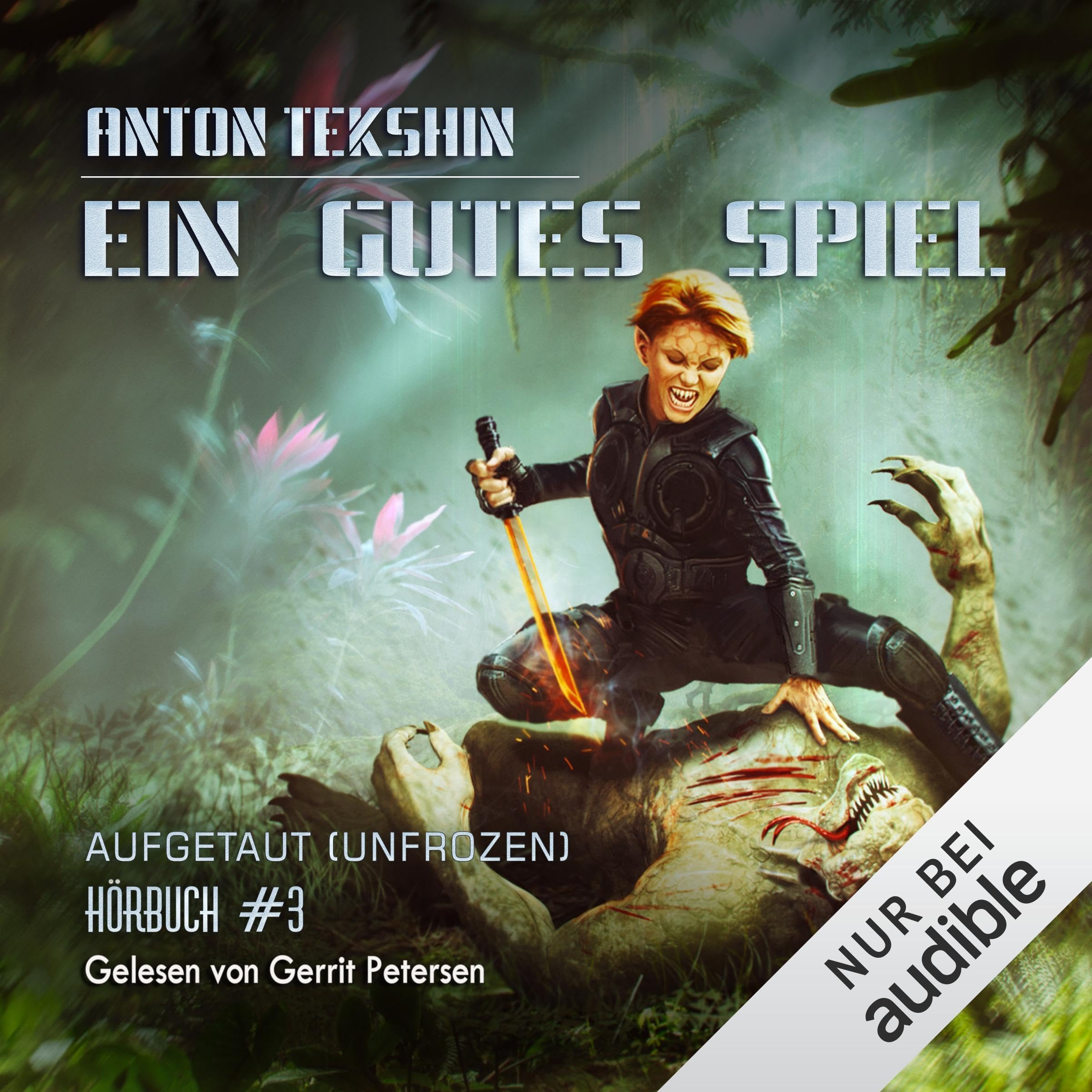 Cover art for Ein gutes Spiel. LitRPG-Serie