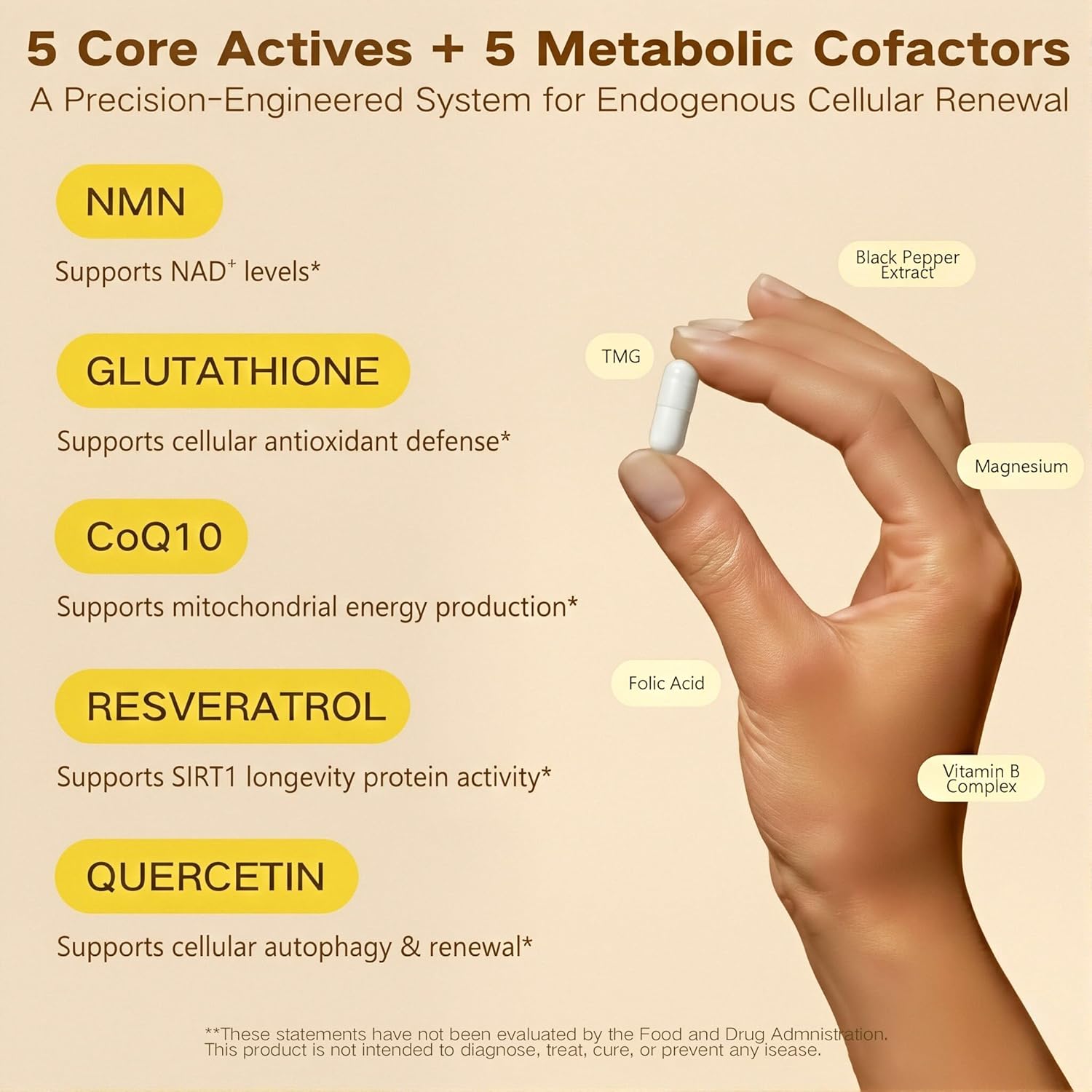 NMN Supplement 1000mg | 10-in-1 with Resveratrol, Quercetin, CoQ10 & Glutathione | Cellular Energy & Antioxidant Complex | Enhanced Bioavailability Formula with TMG & Black Pepper | 120 Capsules