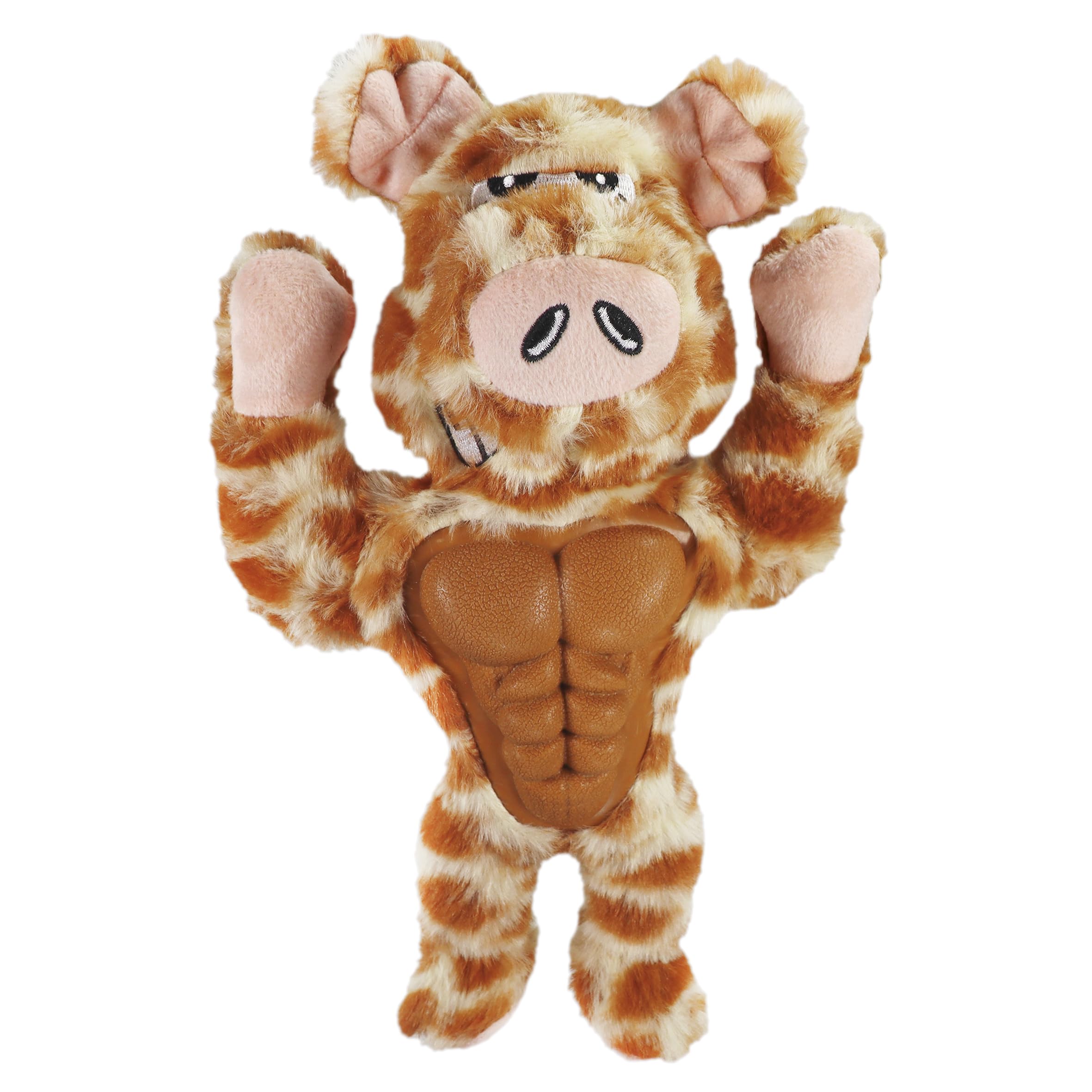 Record - Muscular Plush Dog Toy with Squeaker and Hard Section for Dental Cleansing - Stimulates Interest and Resists Intense Bites | Pig 25cm