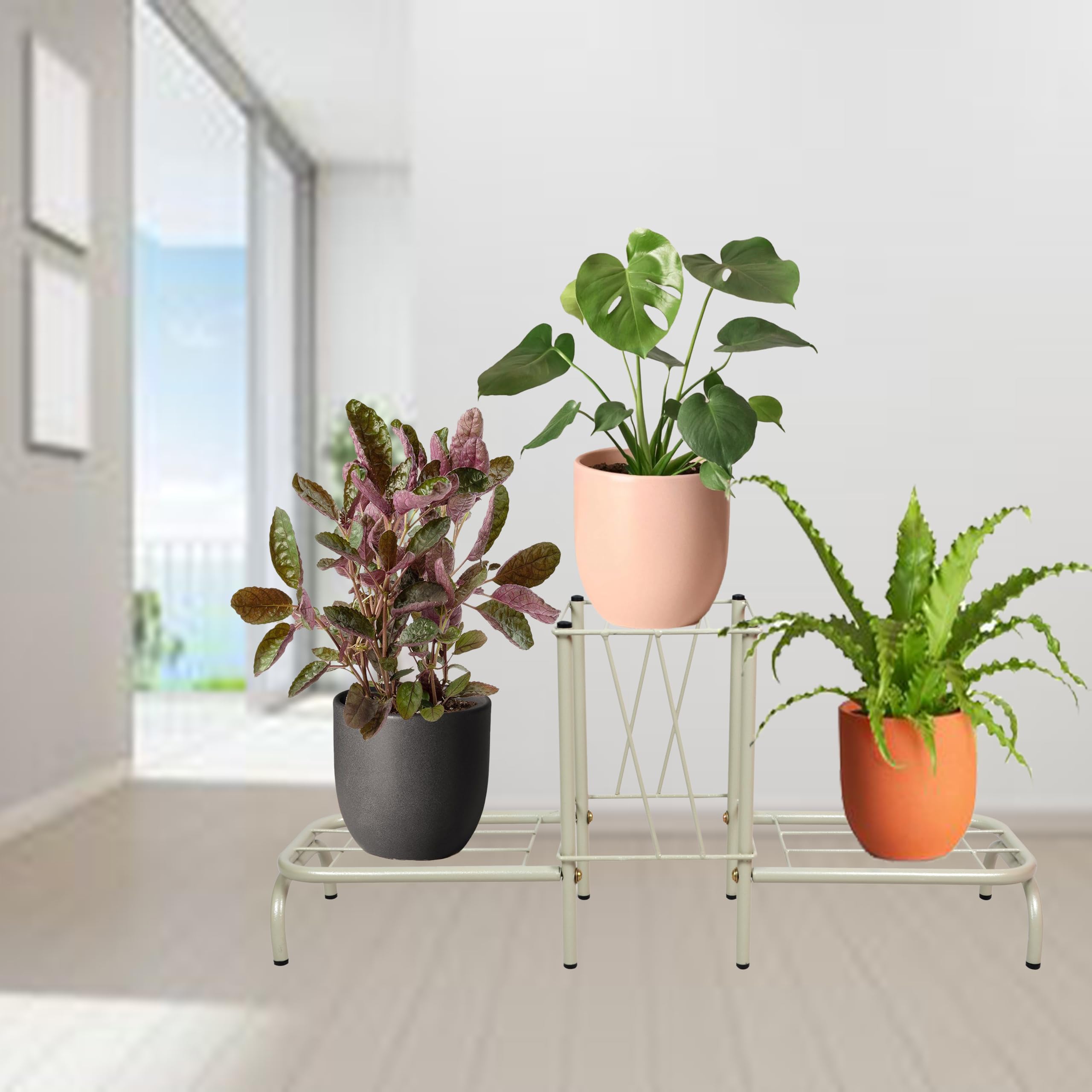 D&V Engineering Metal Plant Stand | 34-Inch Wide Flower Pot Holder | Perfect for Balcony, Living Room, Garden & Home Decor | Durable Planter Stand for Indoor & Outdoor Use | 150 Kg Capacity - Grey (B0855G5YDZ) Amazon Price History, Amazon Price Tracker