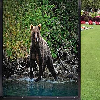 Cabin Frosted Window Film Home Decor,Grizzly Brown Bear in Lake Alaska Untouched Forest Jungle Wildlife Image Static Window Film for Home Office Removable,Green Brown and Blue 2436 inch