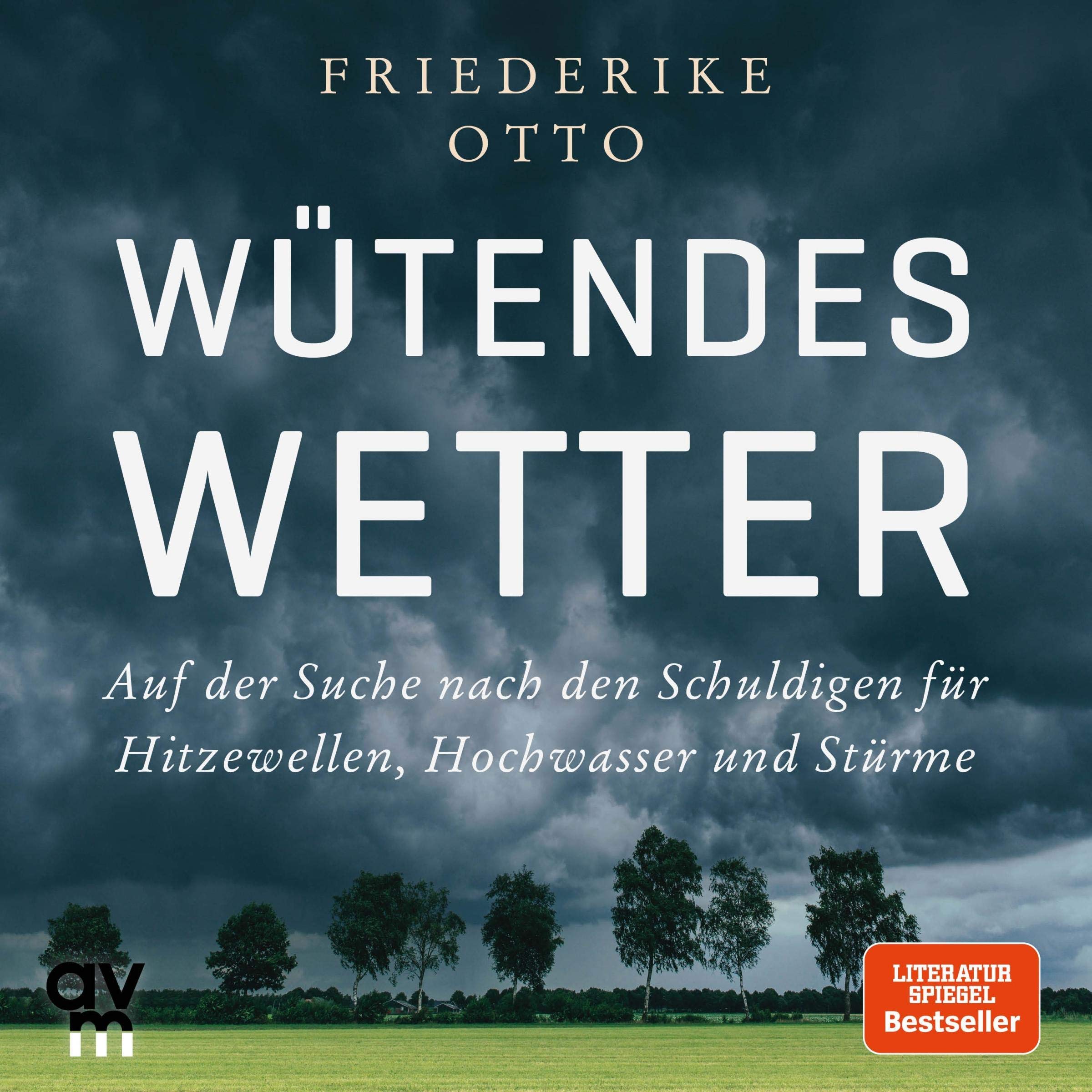 Cover art for Wütendes Wetter