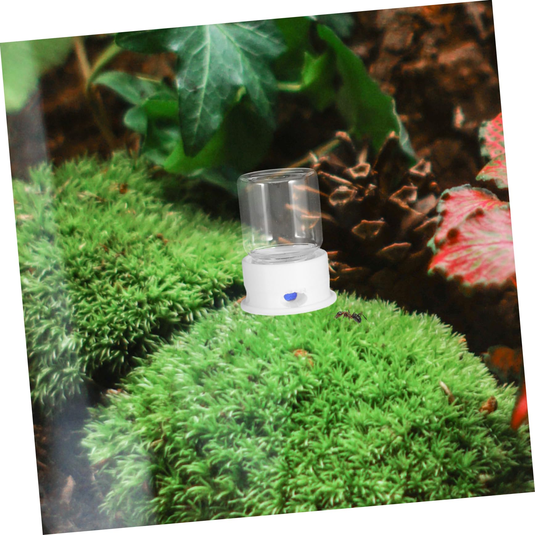 HOLIDYOYO Ants Farm Waterer Automatic Ants Feeder Food Dispenser Pet Water Dispenser