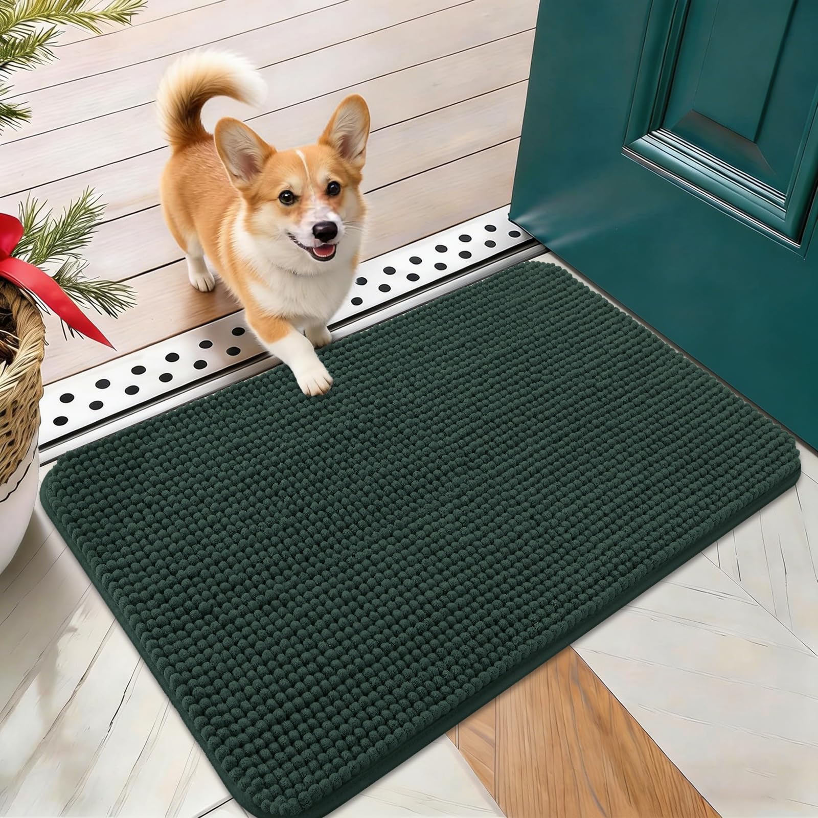OLANLY Dog Door Mat for Muddy Paws 24x16, Absorbent Chenille Mud Doormat