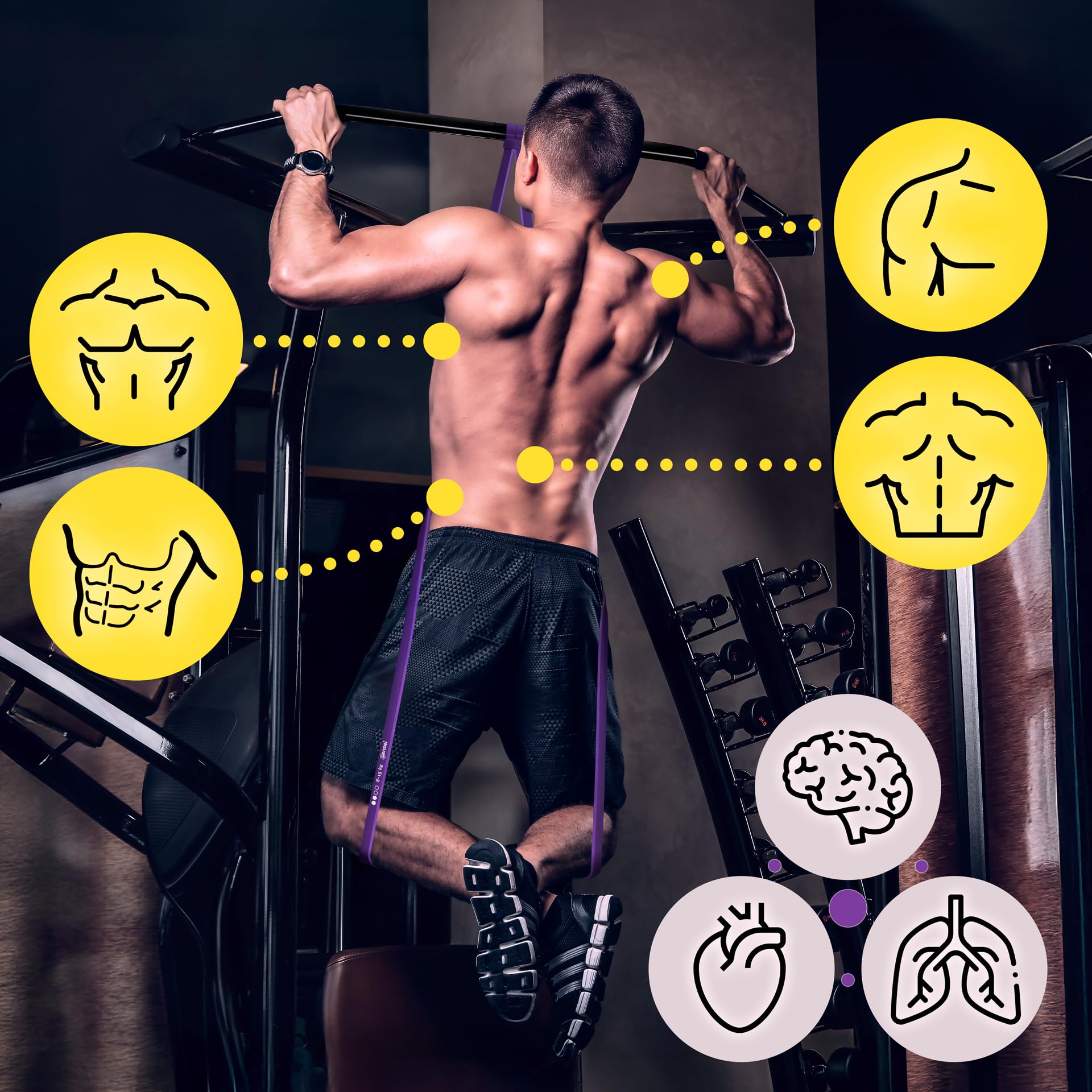 SENSEI Bande Élastique Musculation pour Traction & Sport – Élastique de Résistance en Latex Naturel – E-Book d'Exercices Inclus