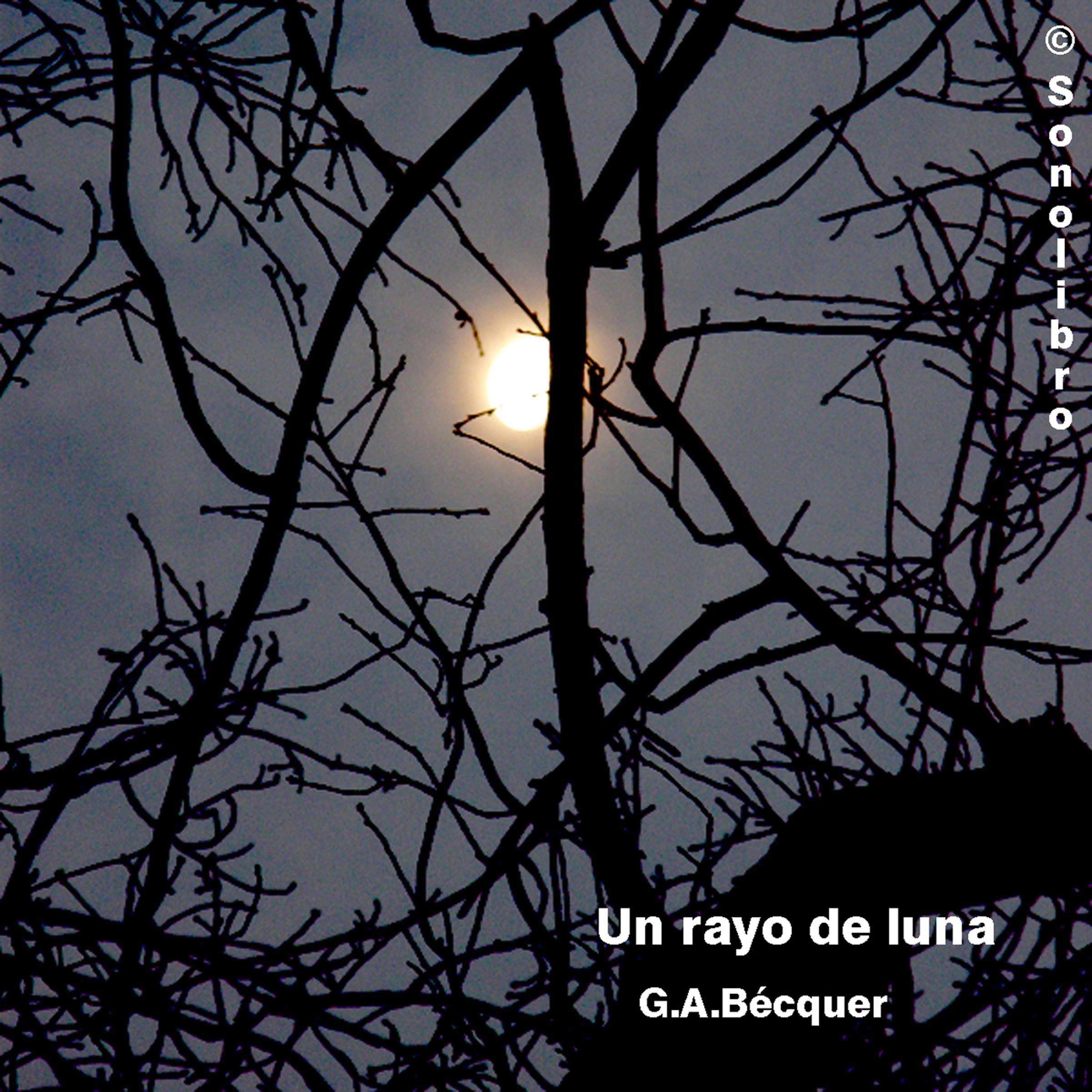 Un rayo de Luna [The Moonlight]
