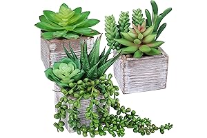 Set of 3 Assorted Small Green Potted Succulent Plants Decoration String of...