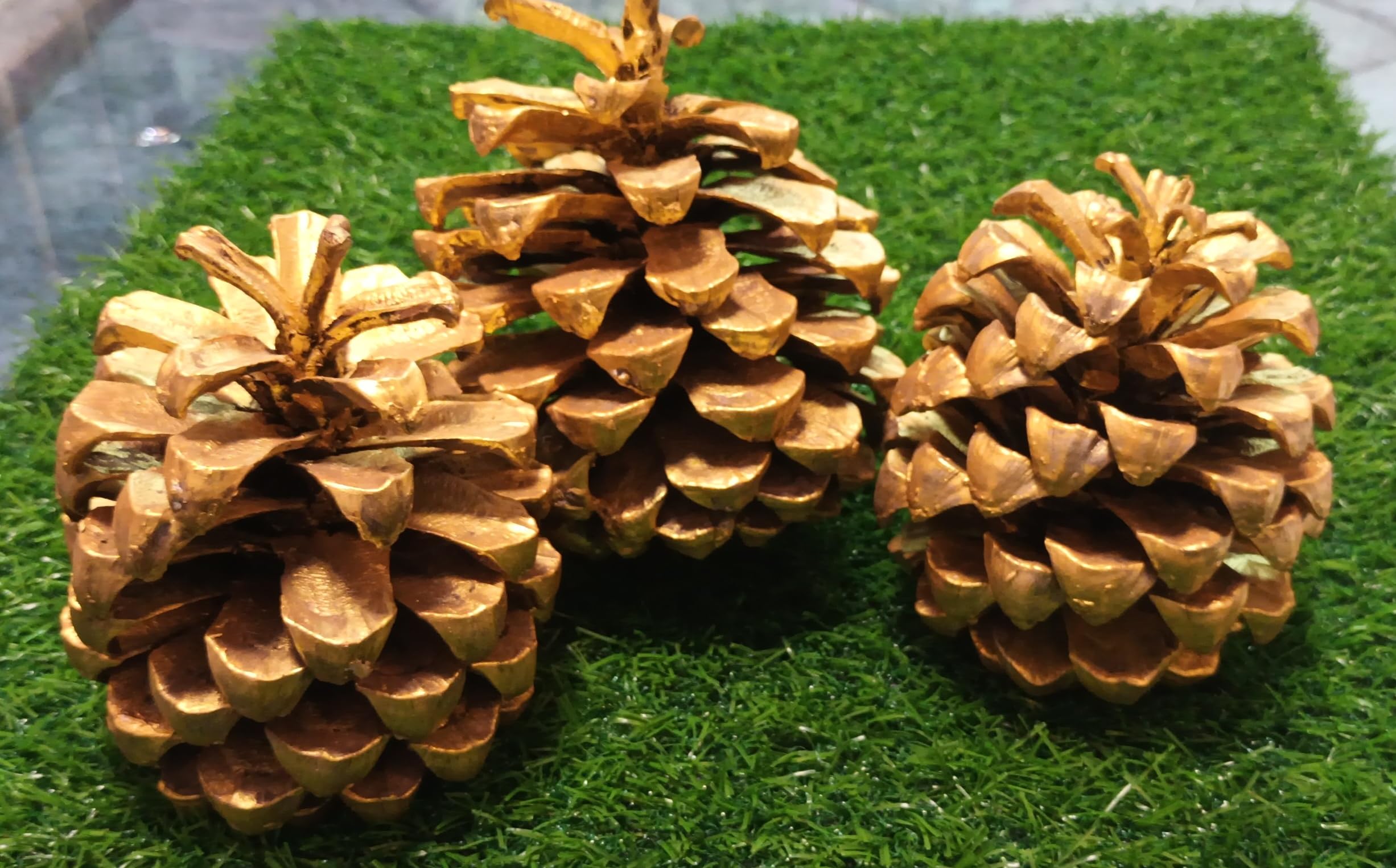 generic Close2Nature!! Natural Gold Pine Cone Sculpture for Home Decor, Ornaments Vase Fillers for DIY Arts&Crafts, Dried Flower-Thanksgiving Pinecones X-mas,Gifting, Christmas,Wedding Decor,8-10cm,3 Piece-picture-25