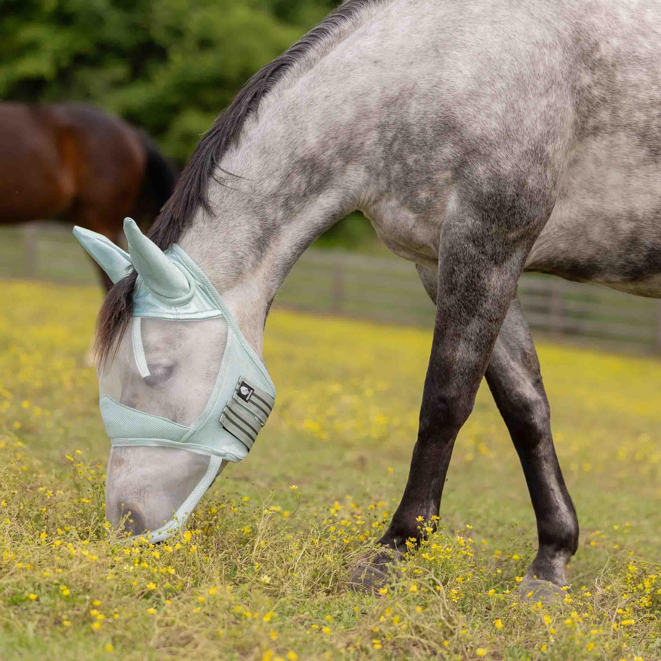 Masque anti-mouches grand nez Equinavia anti-irritation en maille pour cheval Warmblood