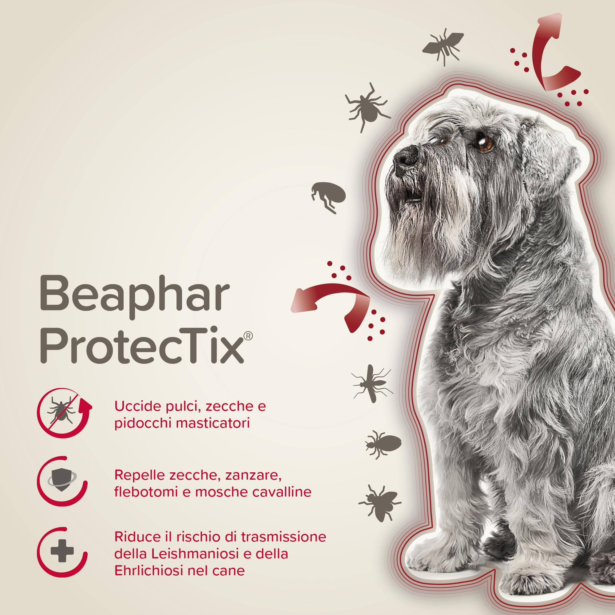 Beaphar ProtecTix Cane, Antiparassitario Spot-On per Cane Piccolo (4-10 Kg), Riduce il Rischio di Leishmaniosi, Contro Zecche, Pulci e Pidocchi, Confezione 4 Pipette da 1 ml