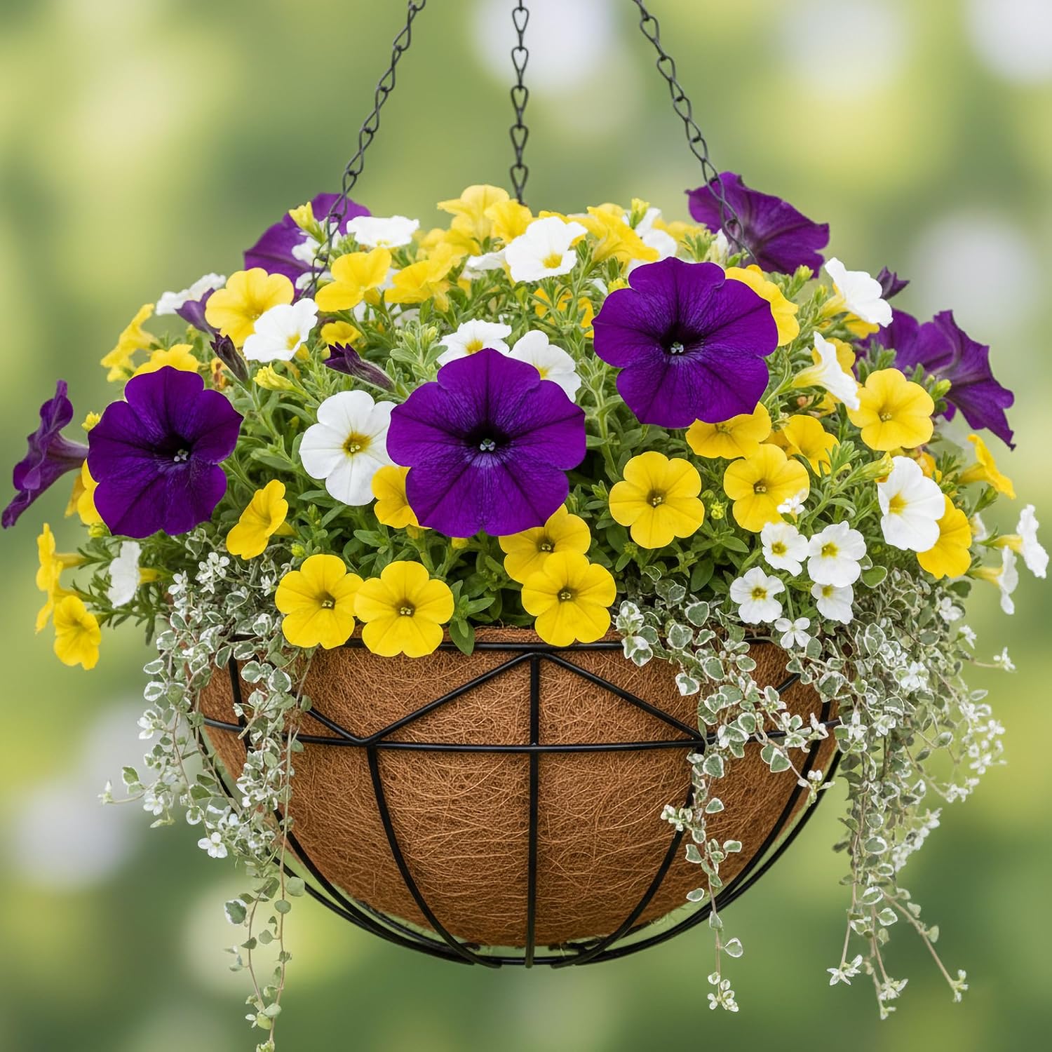 Unique Metal Iron Geometric Hanging Planter Set of 2 Stylish 12 Inch Extra Deep Coco Liner Breathable Heavy Duty Balcony Tree Hanging Basket Drop Weatherproof （Geometric Patterns）