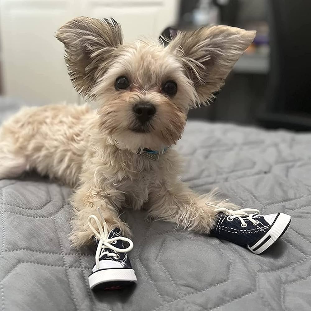 ペットシューズxs 楽天市場】【犬用の靴】パピーエンジェルマガジオドッグシューズ