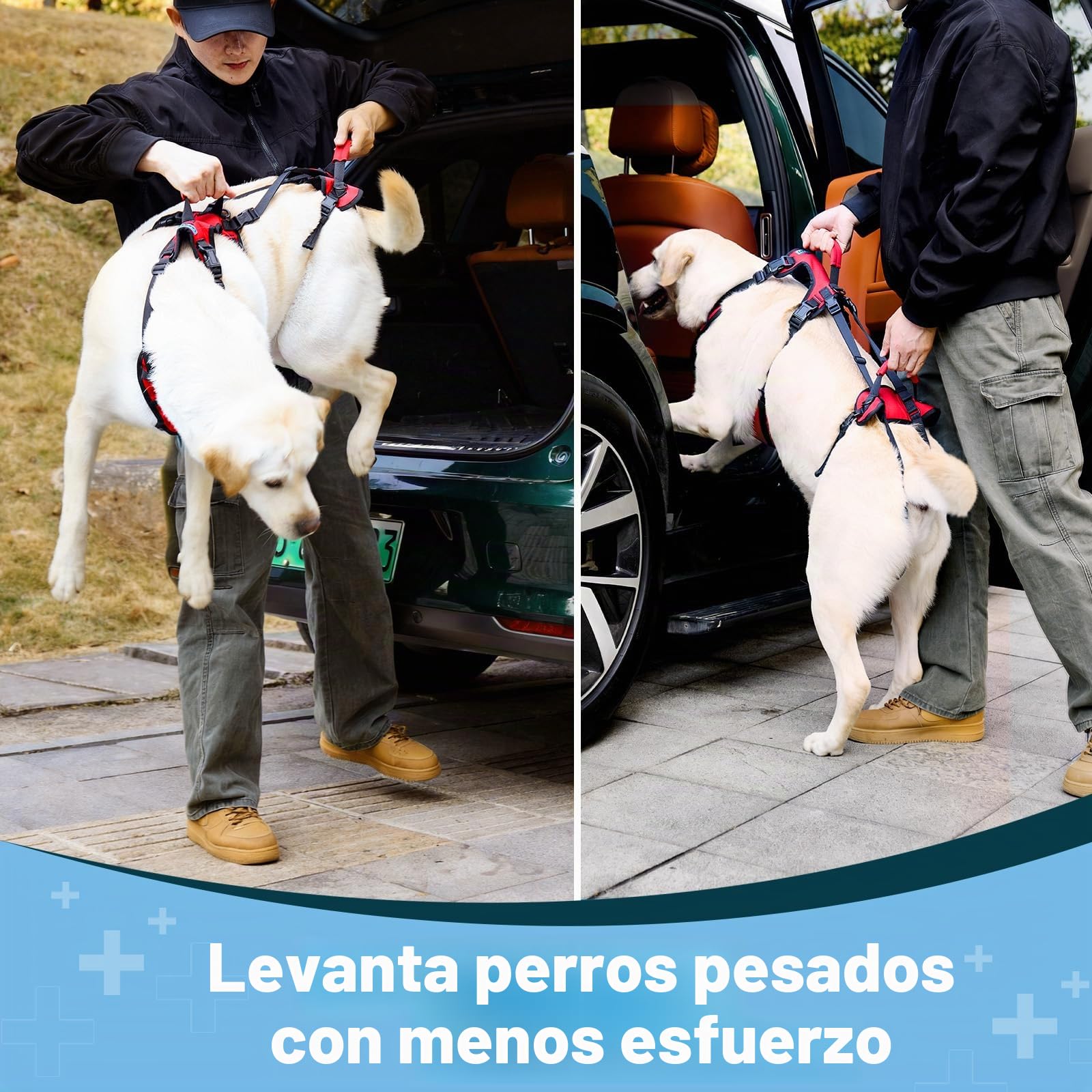Arnés Elevador para Perros Medianos, Arnés de Soporte con Doble Asa para Asistencia Diaria al Caminar, Apto para Perros Macho, Transpirable y Fácil de Poner, Rojo, M