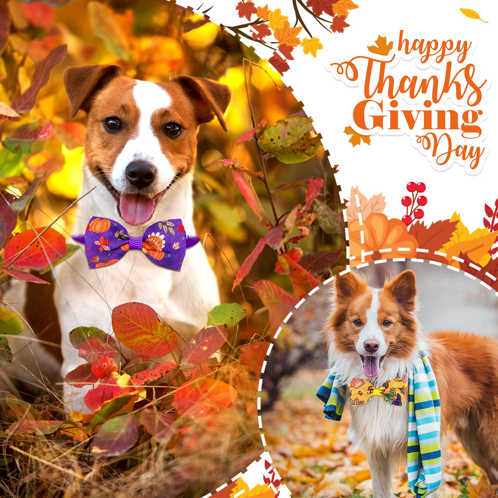160 Stück Haustier Krawatte Set Hund Katze Fliege Halsbänder Verstellbare Hundefliegen Halsband Fellpflege Zubehör für Hunde Haustiere Zubehör Dekor für Halloween, Erntedankfest, Weihnachten
