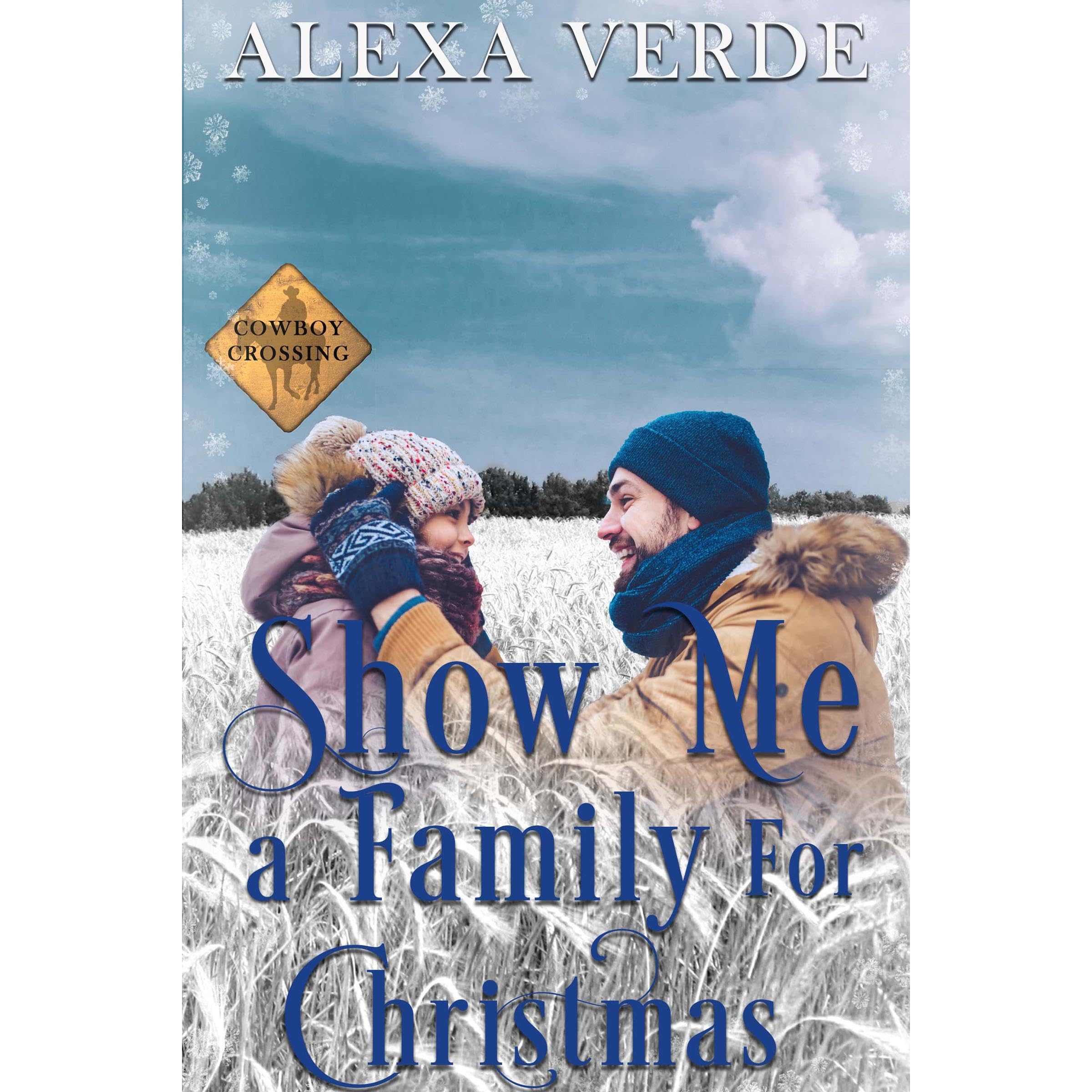 Show Me a Family for Christmas