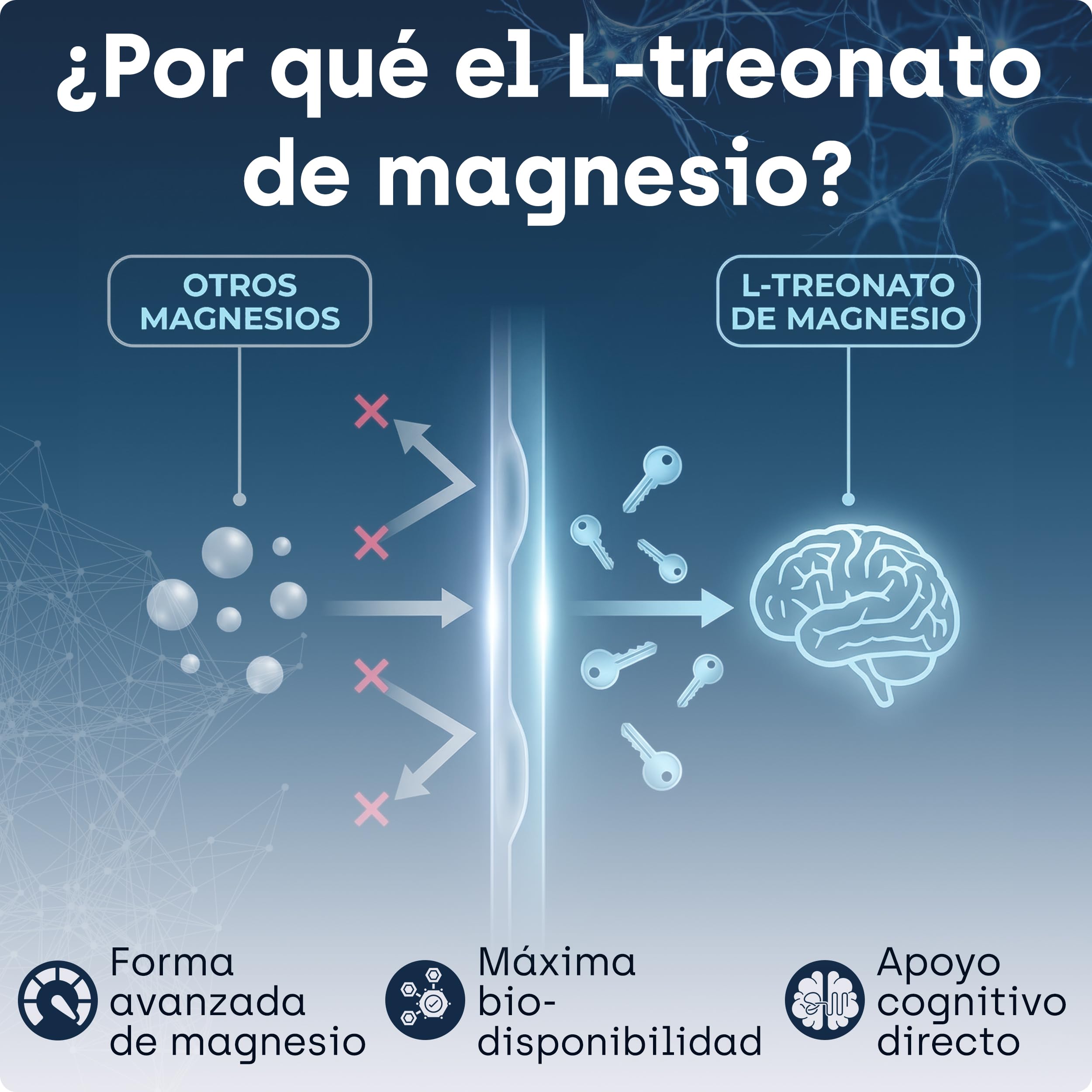 L-treonato de magnesio, alta dosis de 2000 mg de magnesio puro, buena absorción, favorece la memoria, la concentración y el sueño profundo, 120 cápsulas