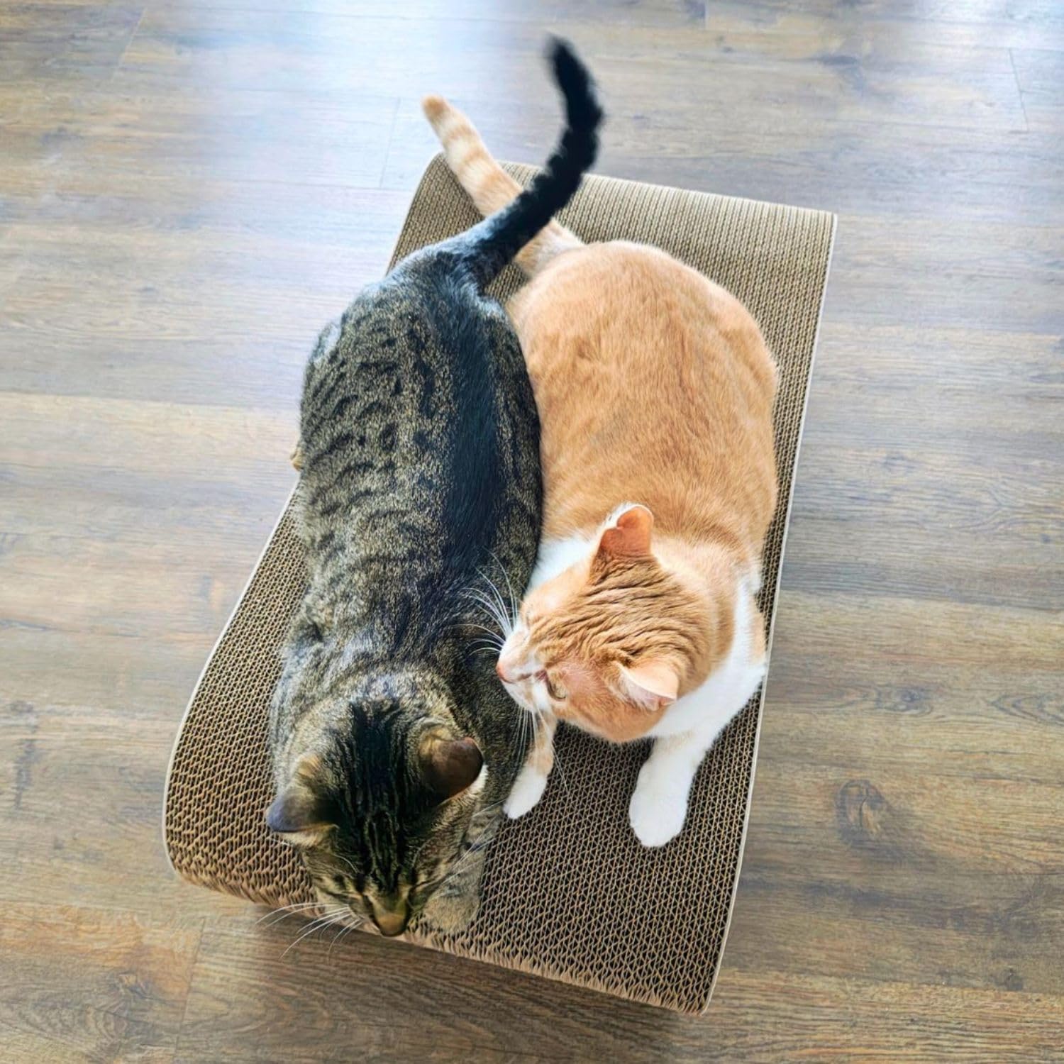 Mruu&Pruu Kratzpappe für Katzen, kratzbrett, kratzpappe für Katzen groß XXL | Beidseitiges kratzbrett, Katzenliege bis 45 kg, Handmade in EU