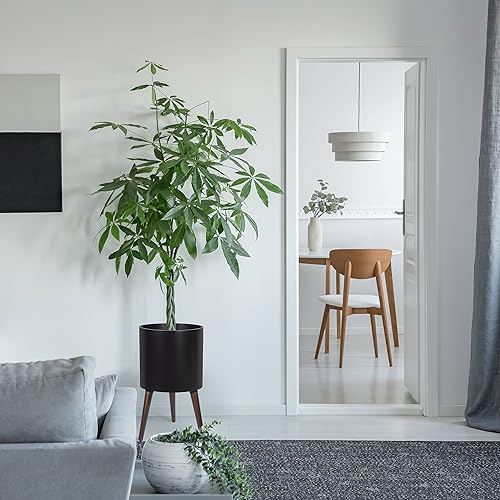 Miniatura 7 de Maceta de interior de mediados de siglo alto de 8, 10, 12 y 14 pulgadas.