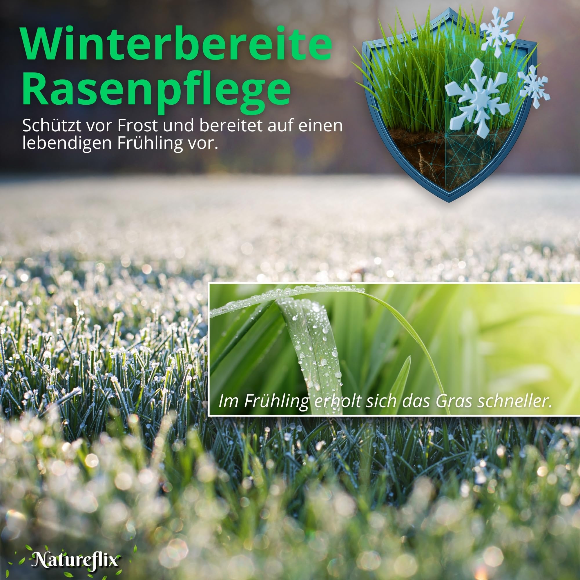 Herbstdünger Rasen | Herbstrasendünger staubarm | mit Winterschutz | Körnung 2–5 mm | Rasendünger Herbst ist Kind- & tierfreundlich (Herbstdünger, 20kg für 1000m²)