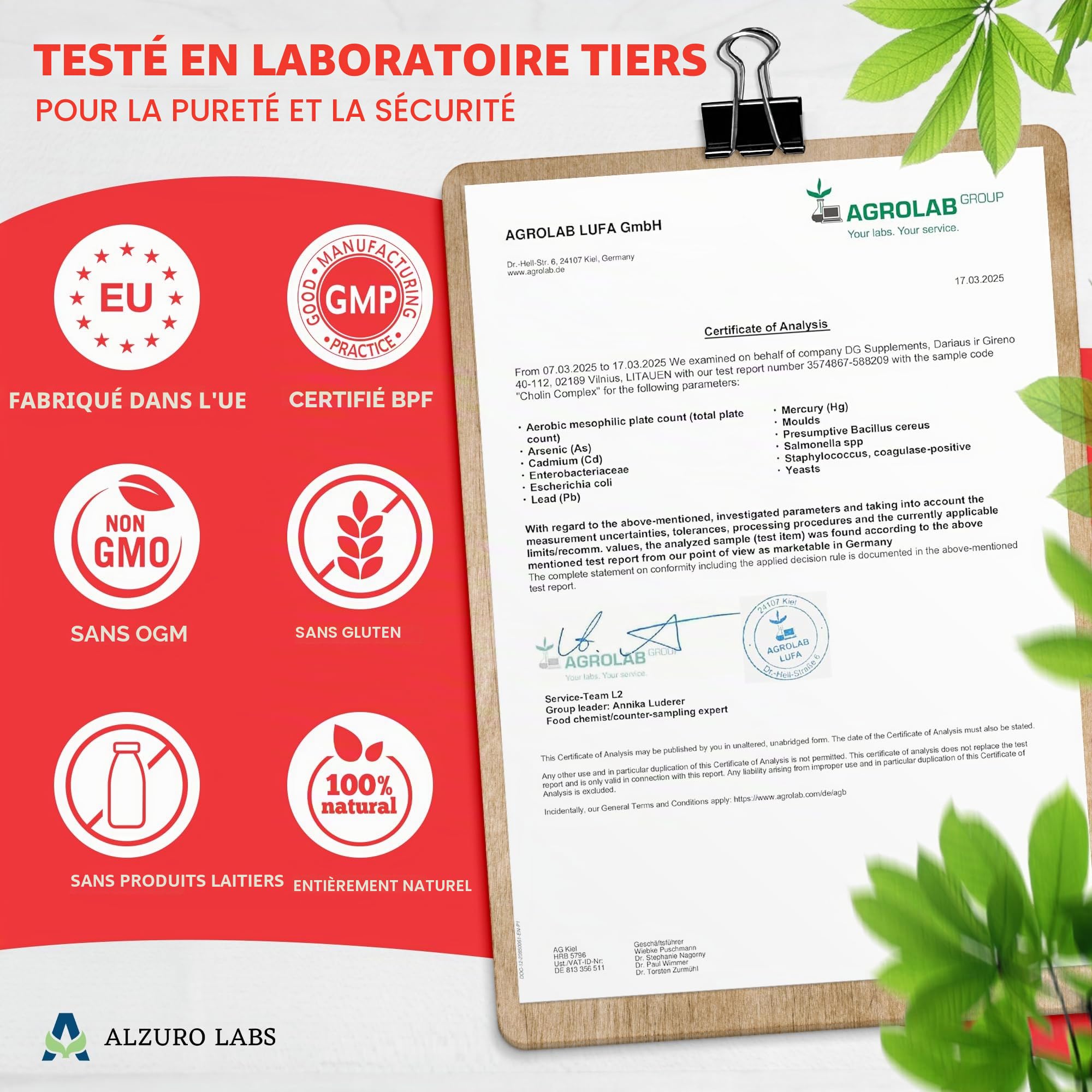 Complexe Choline | Bitartrate de choline, Citicoline (CDP-choline) & Phosphatidylsérine | 120 gélules végétales | GMP & Testé en Laboratoire Indépendant