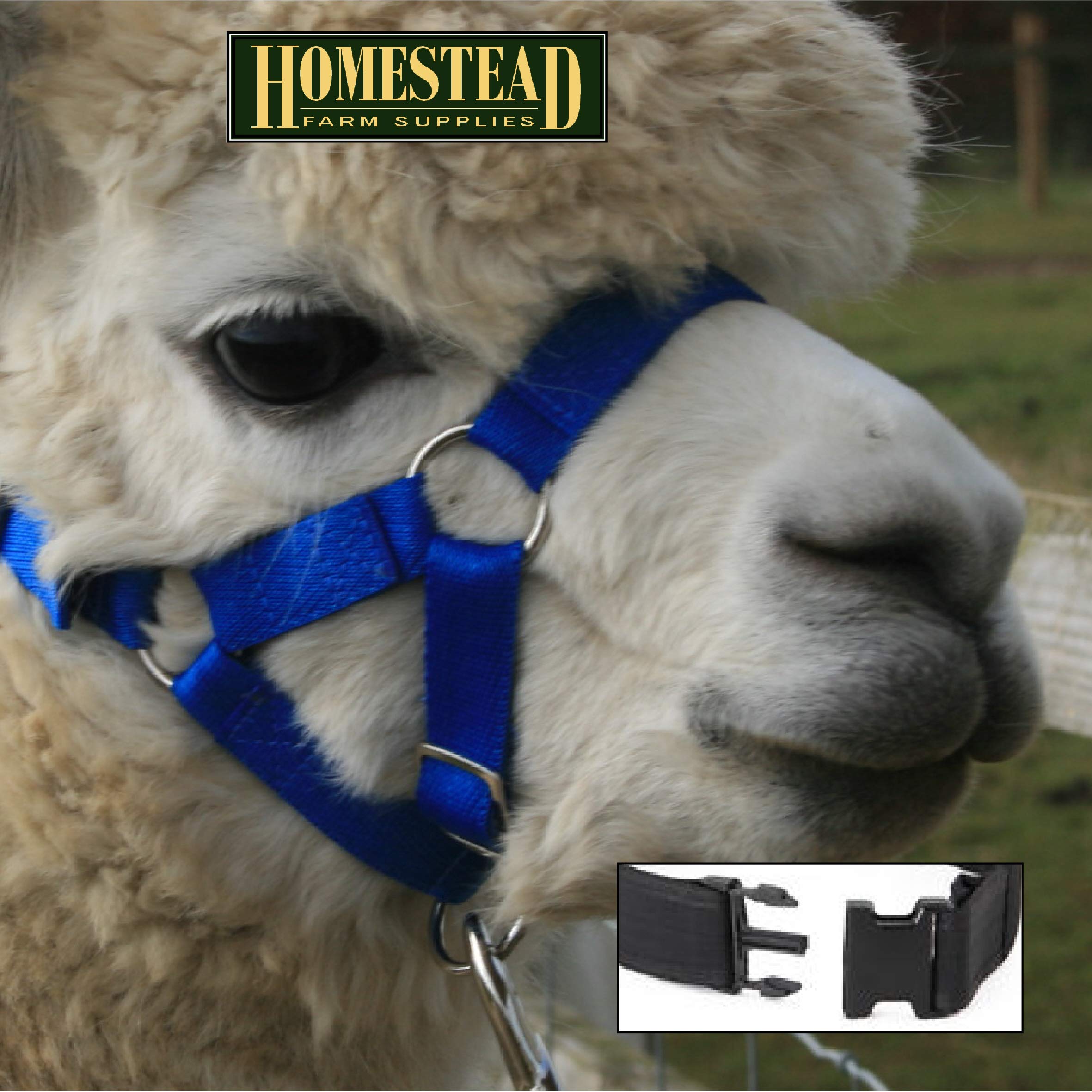 Homestead Farm Supplies ALPACA HEADCOLLAR with SNAP Fastening - ROYAL BLUE - LARGE