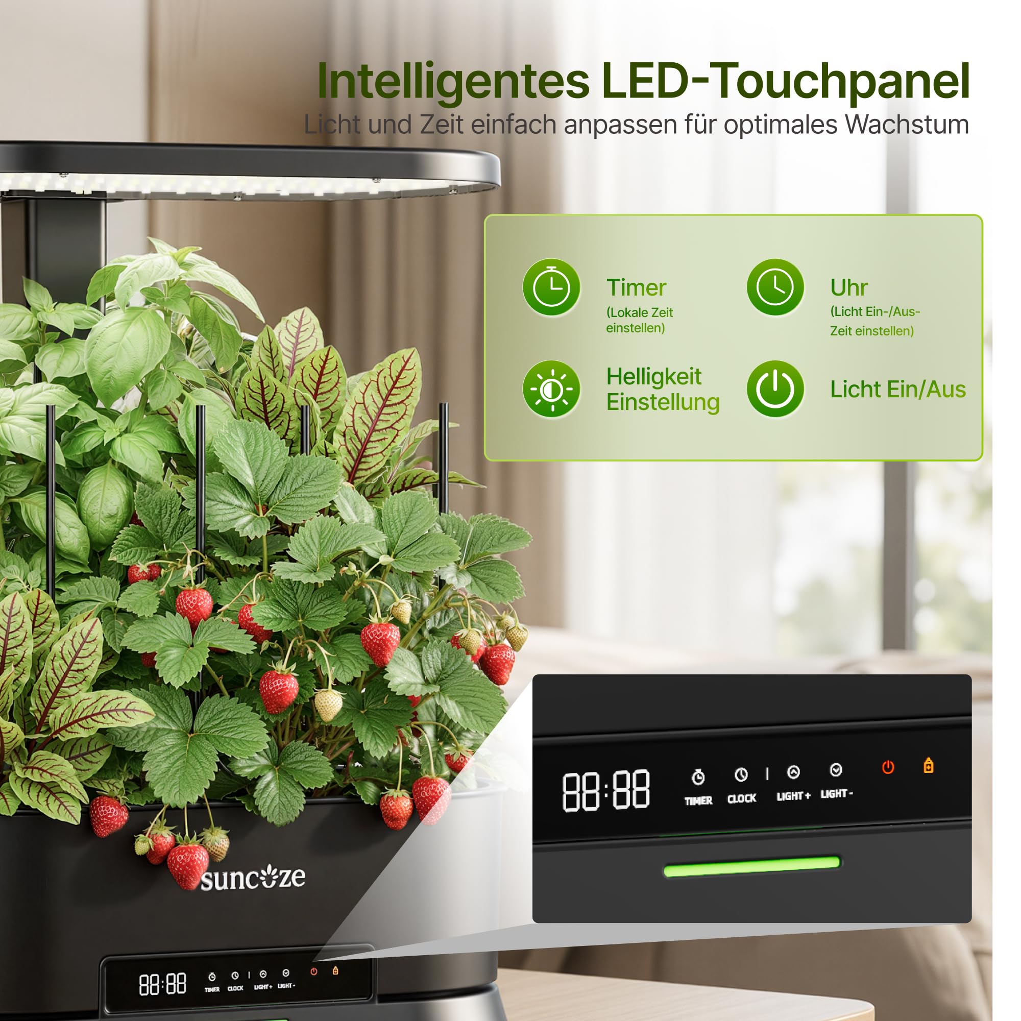 SUNCOZE Abnehmbarer Hydroponisches Anzuchtsystem mit 12 Hülsen, Schwarz | Indoor Kräutergarten mit 36W LED Pflanzenlampe, 5L Wassertank, Höhenverstellbar bis 550 mm, Hydroponik System mit Timer