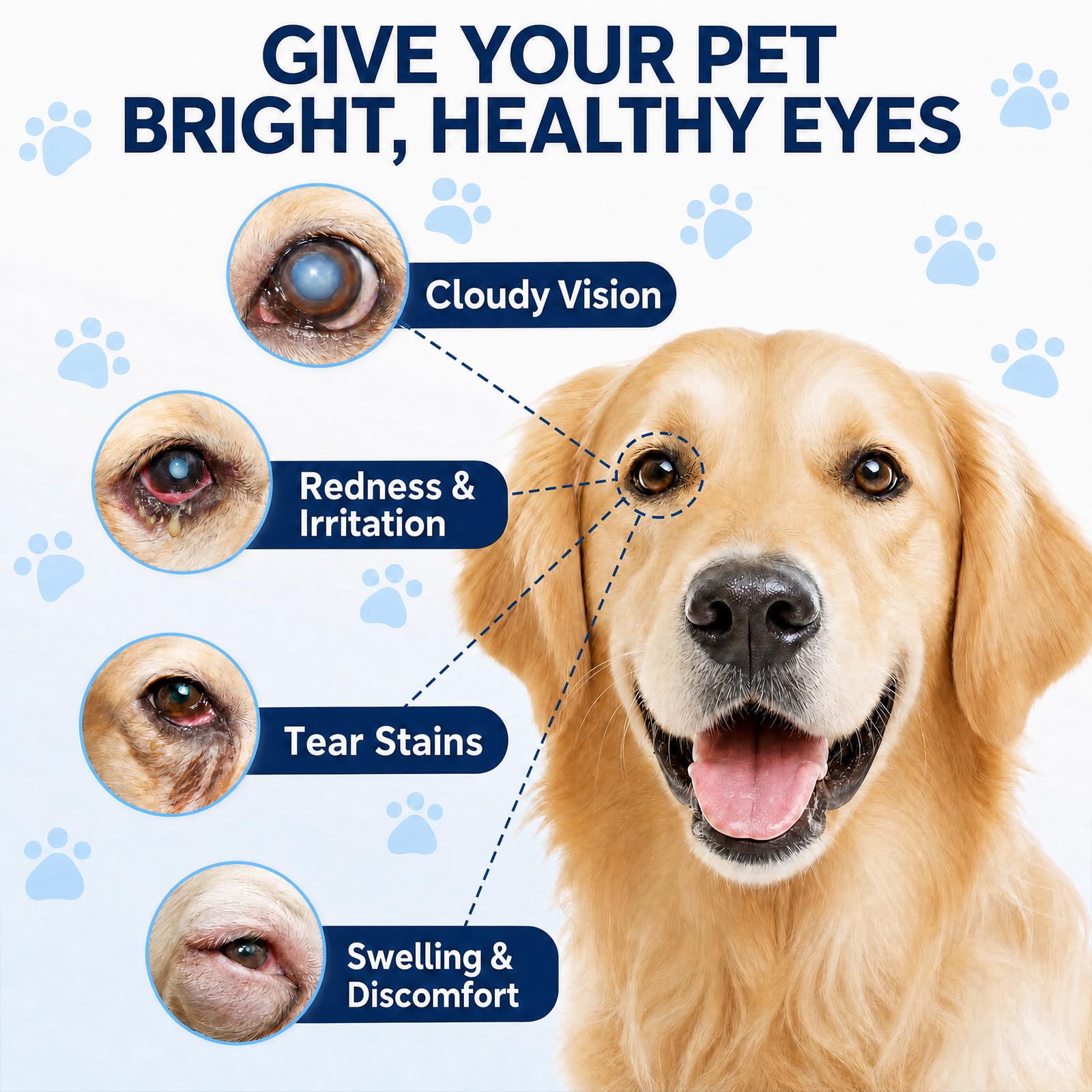 Cataract Eye Drops for Dogs, 2pcs Dog & Cat Eye Infection Treatment — Amazon image 4