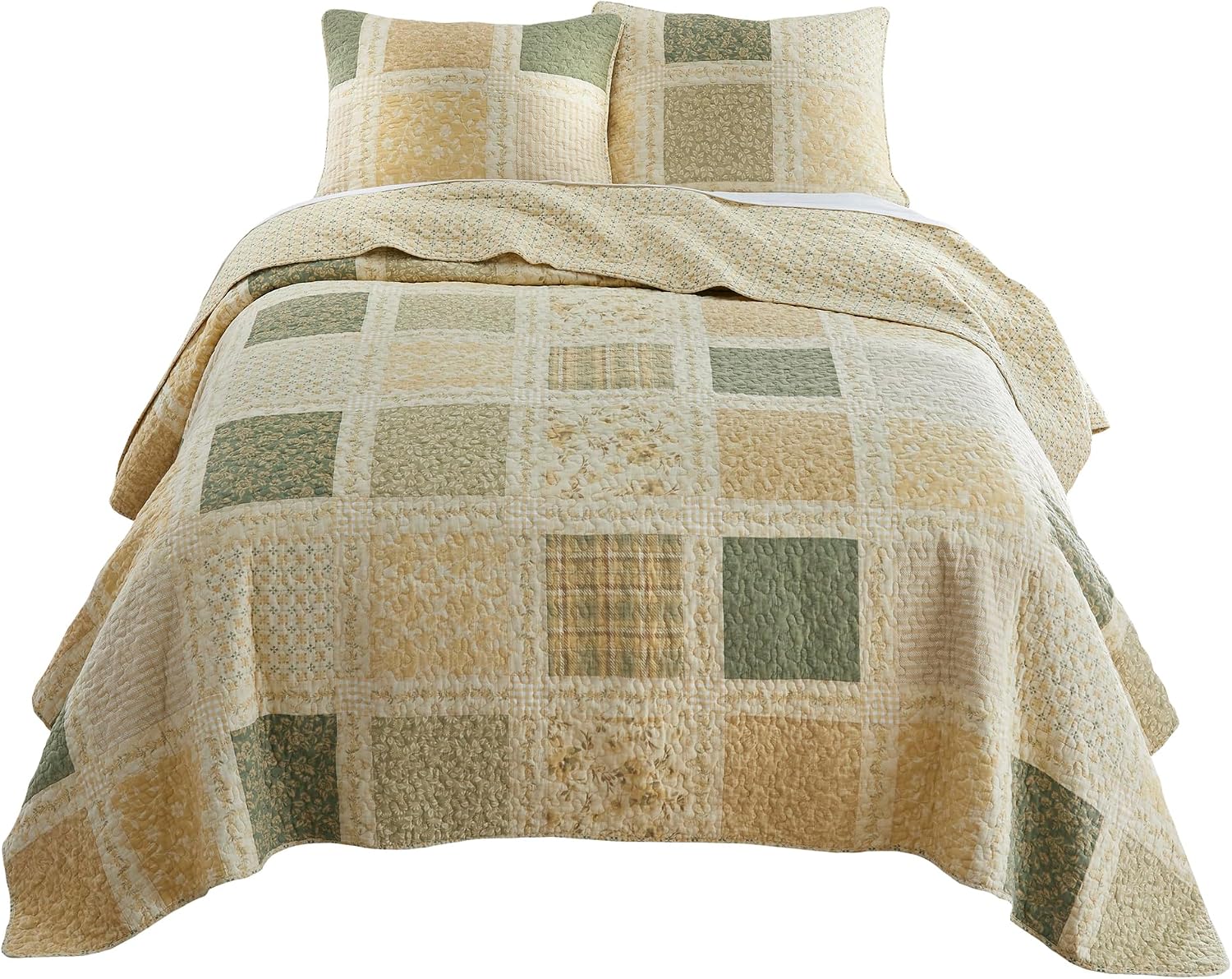 Donna Sharp Meadow- Cotton Queen Quilt Set, Measures 90 x 90, Includes 1 Quilt and 2 Standard Shams, Machine Washable