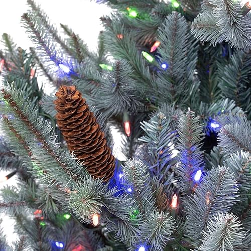 Miniatura 8 de Park Hill Collection Park Hill XPQ82169 - Árbol de Navidad de abeto azul con verde