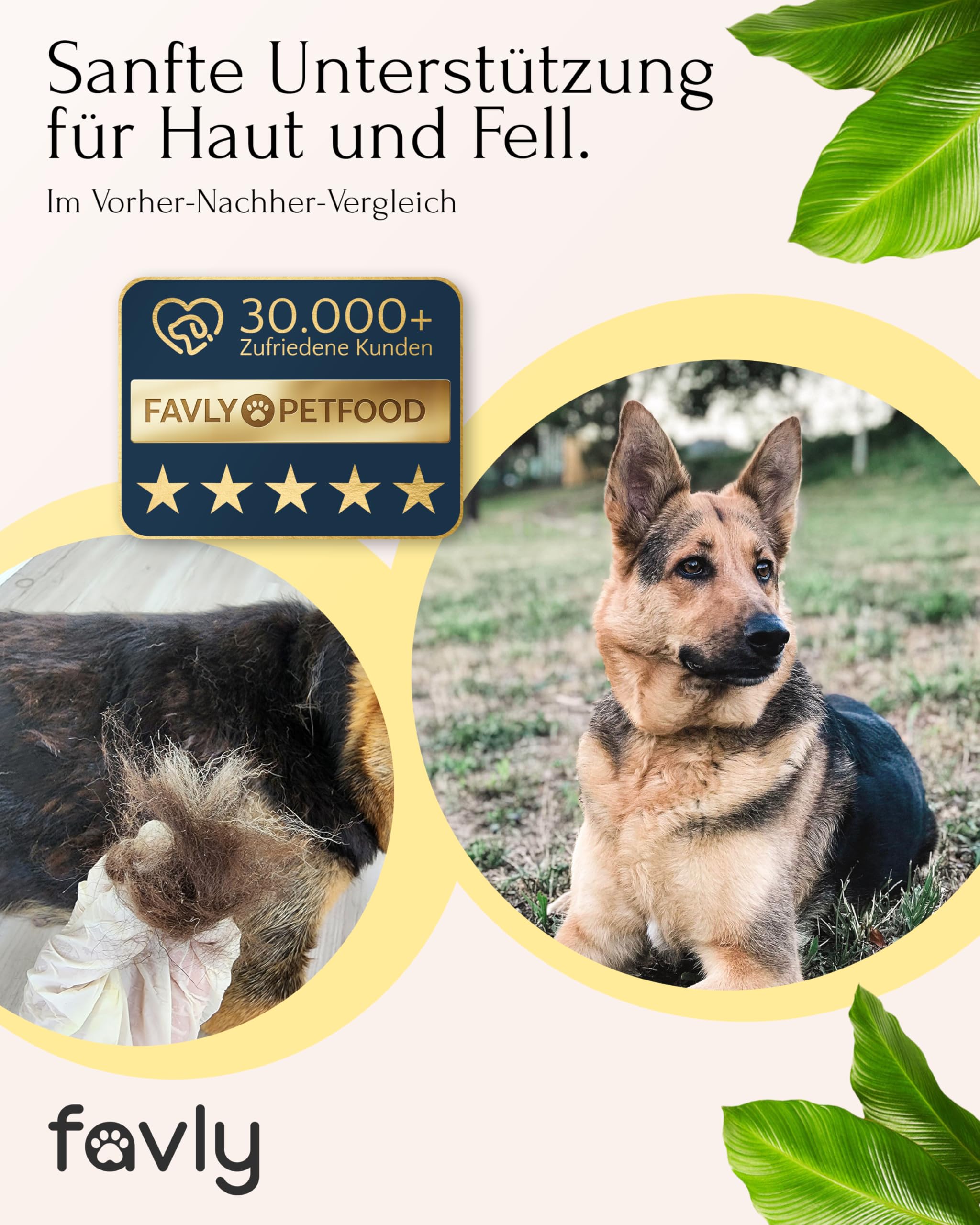 FAVLY – HEPASKIN Fellpflege Pulver 3x250g für Hunde & Katzen – Ergänzungsfuttermittel Topping mit Mariendistel, Omega-3 & Spirulina – bei Juckreiz, Schuppen & stumpfem Fell – Ohne Getreide & Zusätze
