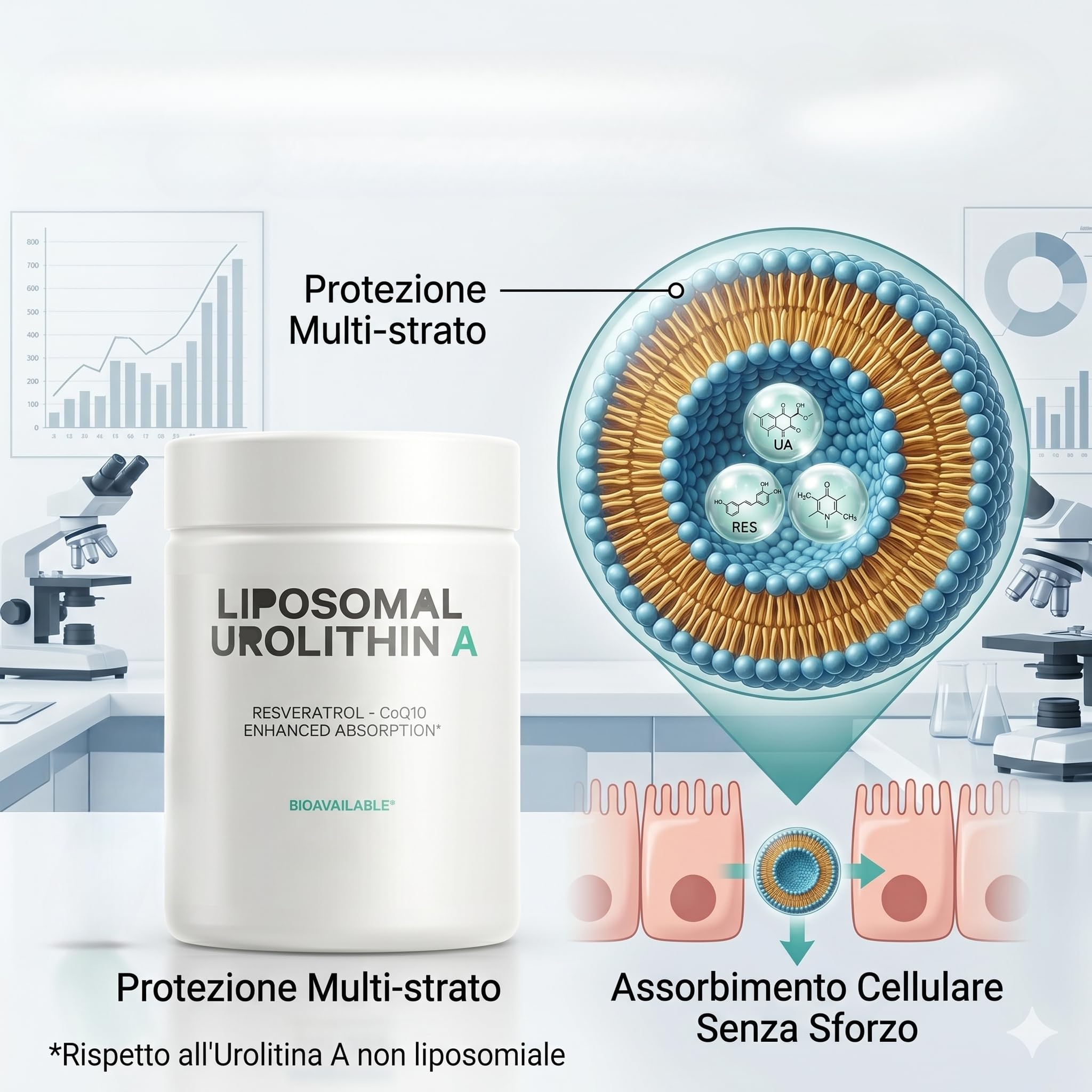 Urolitina A Liposomiale - Massima Biodisponibilità per, Sostenere la resistenza muscolare - Senza OGM