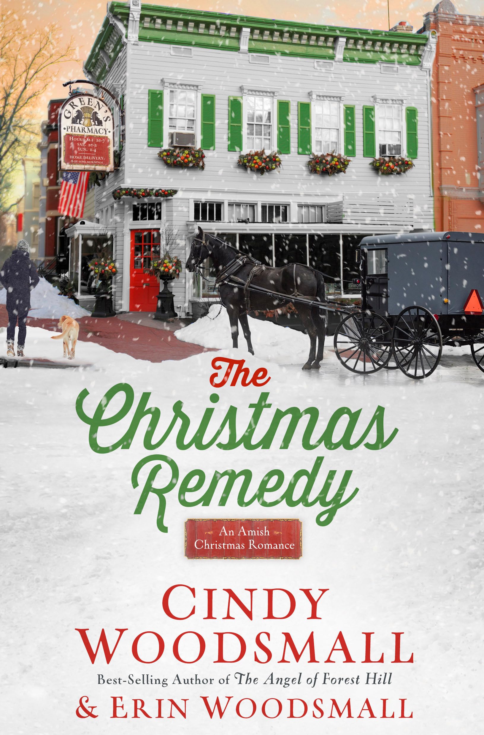 Buy The Christmas Remedy: An Amish Christmas Romance — BookShops.in