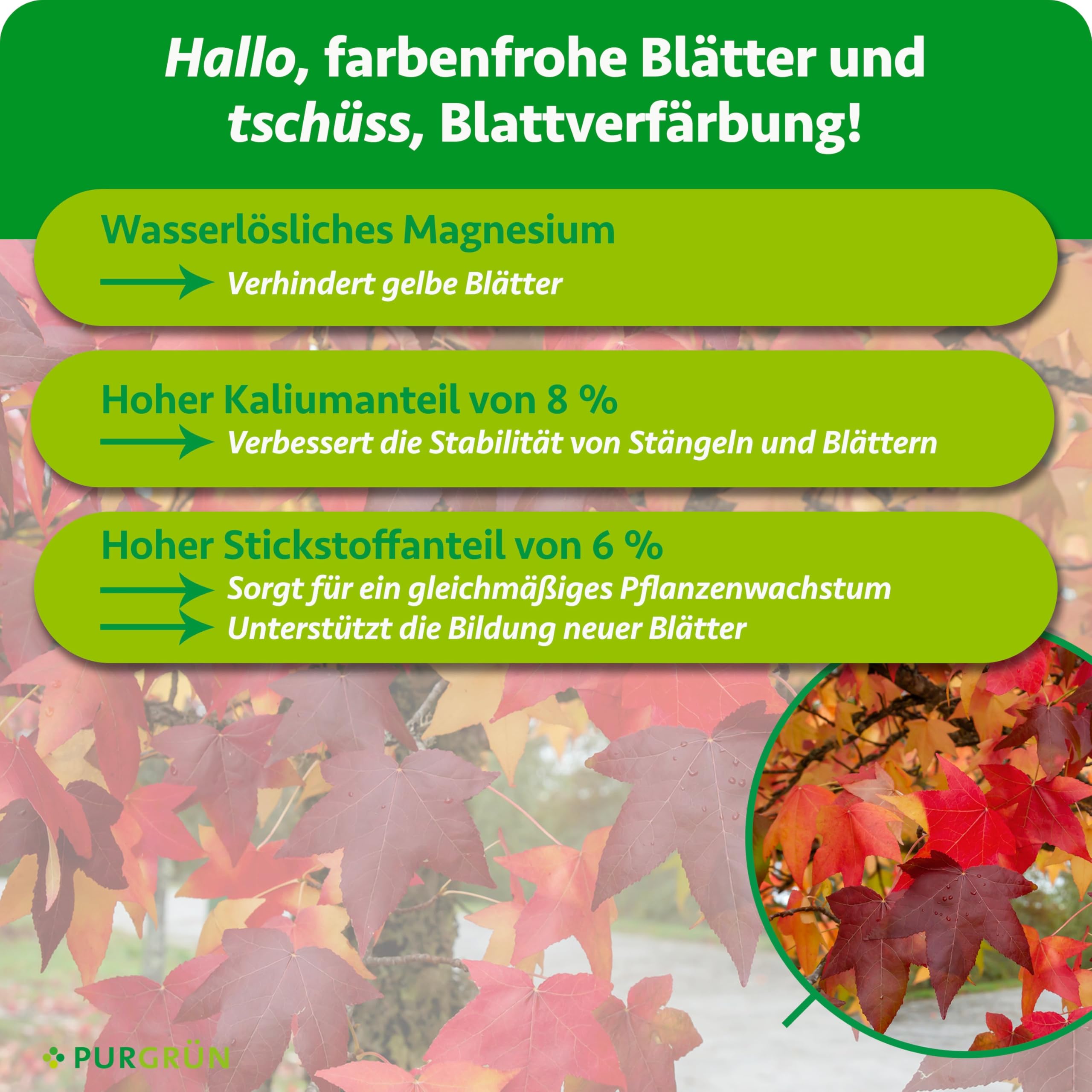 Bio-Amberbaum-Dünger 1 kg – Organisch-mineralische Rezeptur – Feinkörniges Krümelgranulat – NPK 6+3+8 – Mit Magnesium für eine intensive Blattfärbung – Verbessert die Bodenqualität