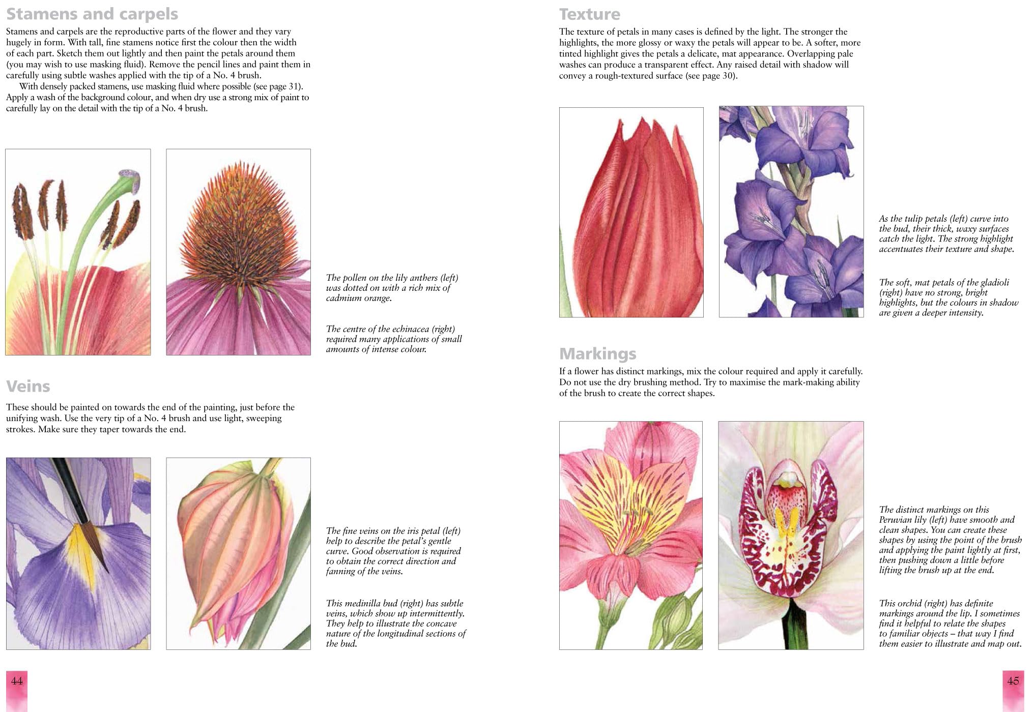 Watercolour Flower Portraits