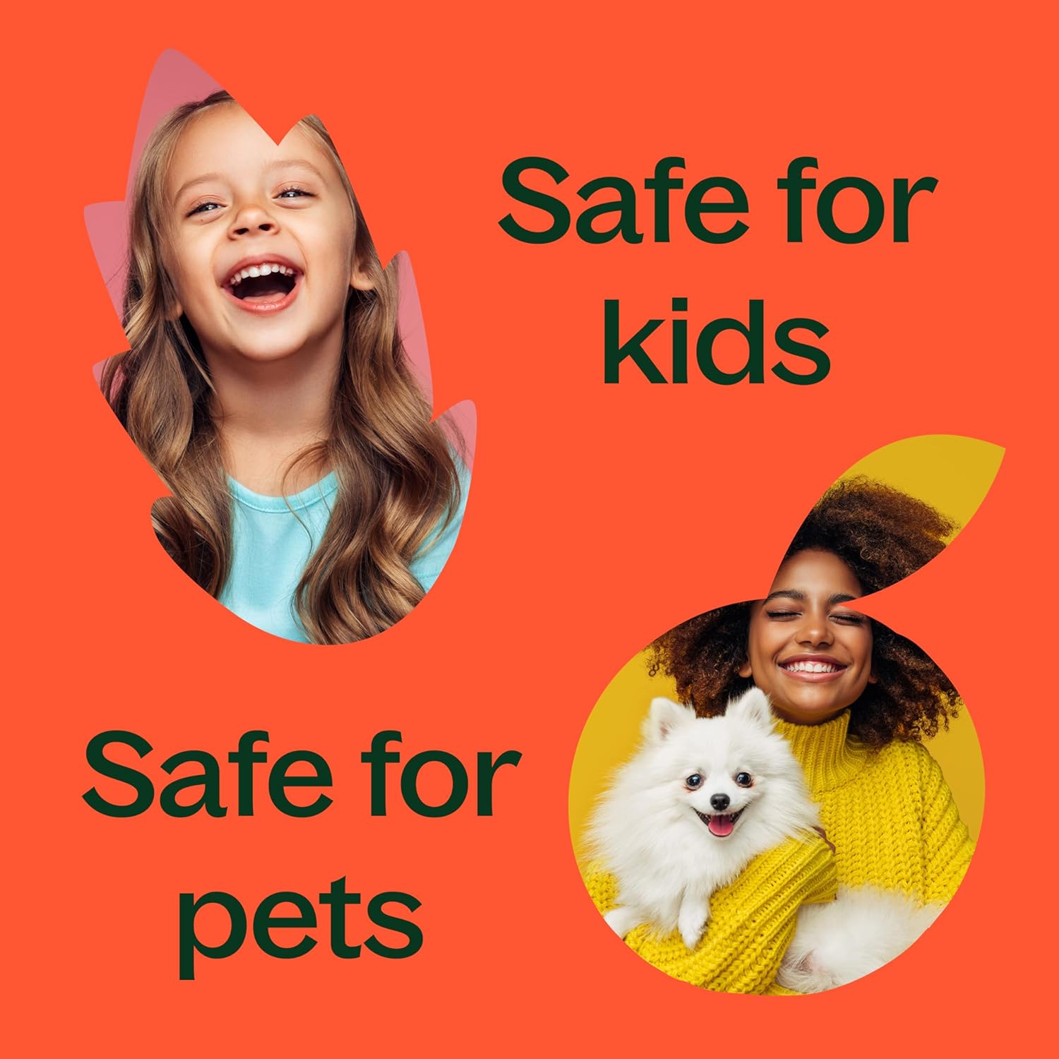 Plant Therapy Fantastic Franks Essential Oil Blend, 10 mL (1/3 oz), Made with 100% Pure Essential Oils, Contains Frankinense Carterii, Frereana, Papyrifera, and Sacra