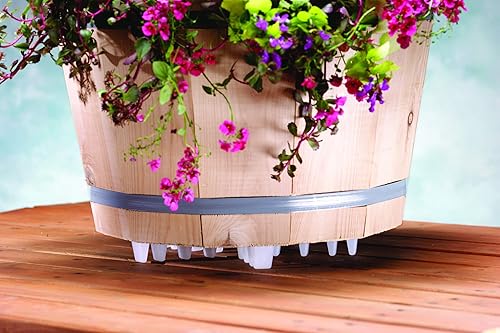 Miniatura 7 de Bosmere S10410 - Soporte para plantas, 12 pulgadas, color negro