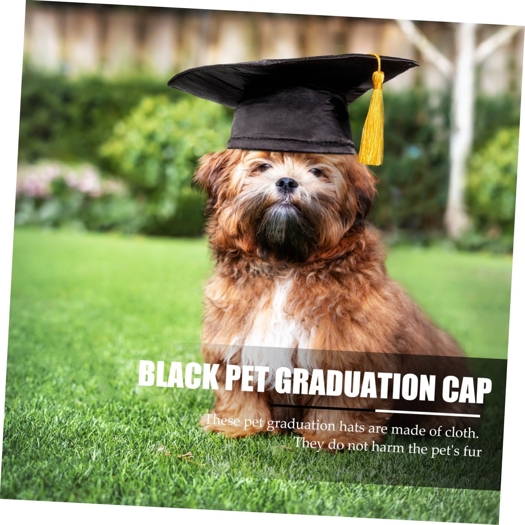 COLLBATH Custom Black Dog Graduation Cap with Tassels Pet Headgear for DIY Party Accessories Suitable for Dogs Non Harmful Design