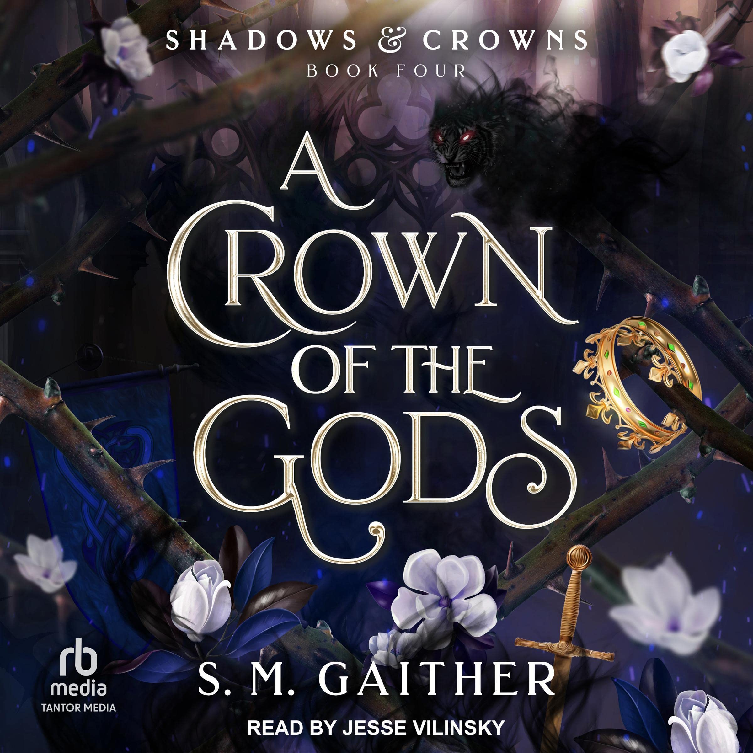 Cover art for A Crown of the Gods