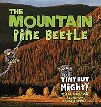 ,