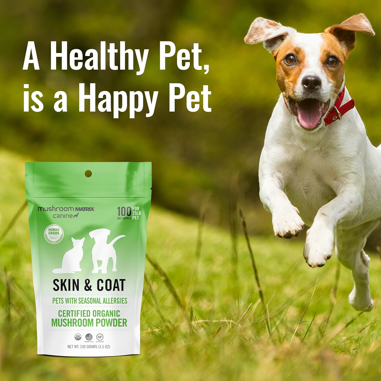 Om Mushroom Matrix Pet - Canine | Skin & Coat | USA Grown Human-Grade Organic Mushroom Powder Pet Supplement | Seasonal Allergy Skin & Coat Support for Dogs & Cats | 100 Grams, 3.5 oz