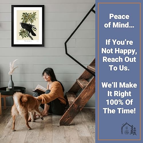 Miniatura 5 de Raven by James Audubon - Póster enmarcado para decoración de pared, pintura de obras de arte finas, pósteres e imágenes, impresiones de galería en