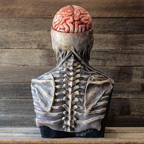 Miniatura 6 de Máscara de látex de calavera de cerebro desnudo, máscara de calavera de Halloween, máscara de calavera en movimiento, disfraces de Halloween,