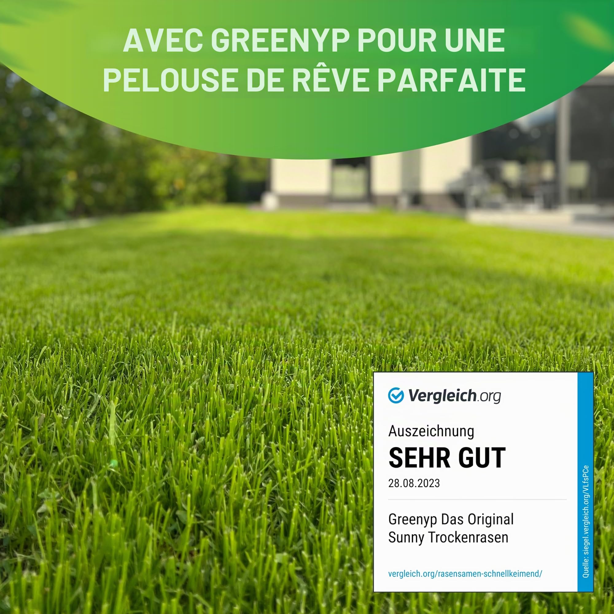 Greenyp® Sunny - Semences de gazon sec résistantes à la sécheresse - 30 kg pour 1200 m² - Semences d'herbe à germination rapide