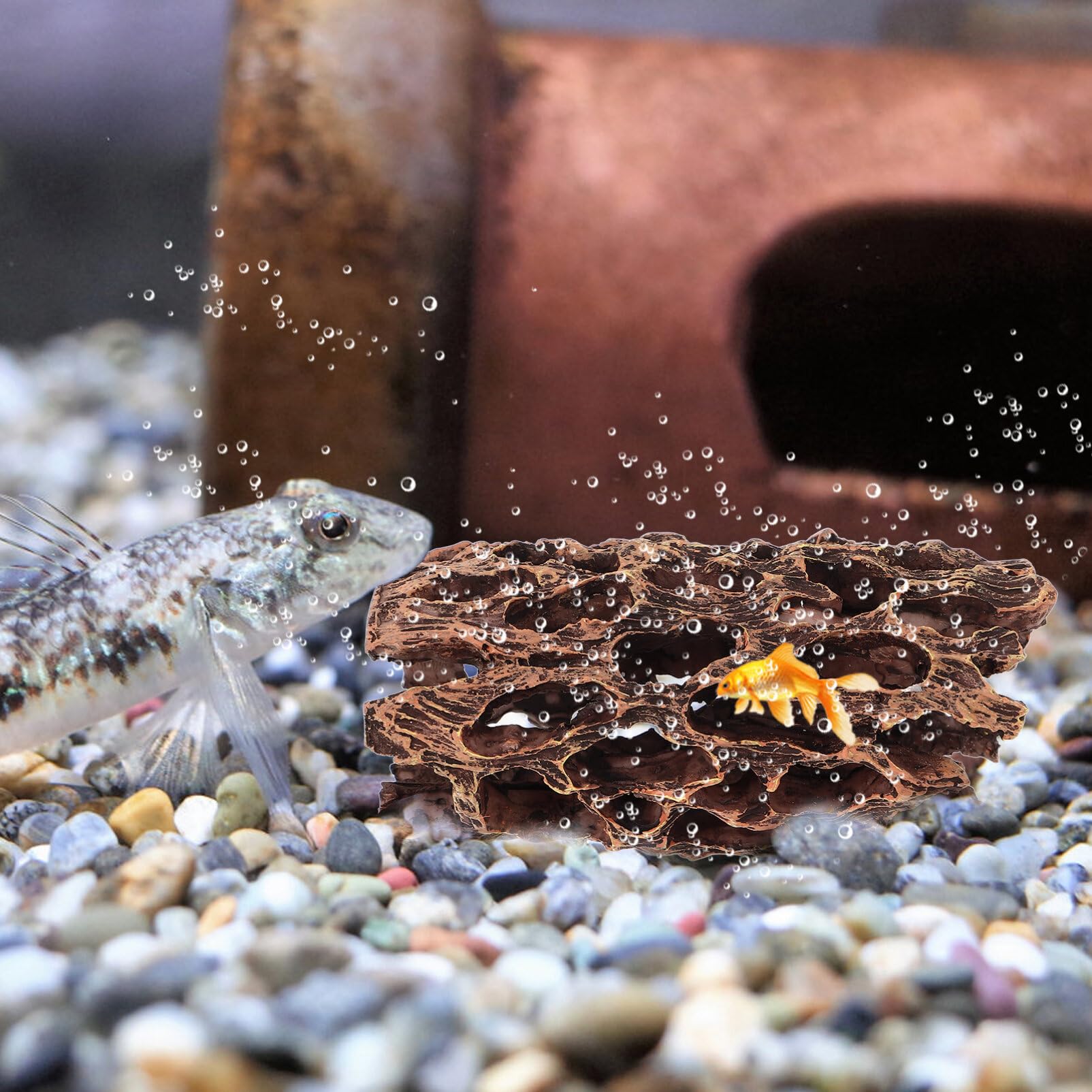 天然流木　インテリア　トンネル状　爬虫類　小動物　アクアリウム　コケリウム　置物 719rrhca-lL._AC_UF350,