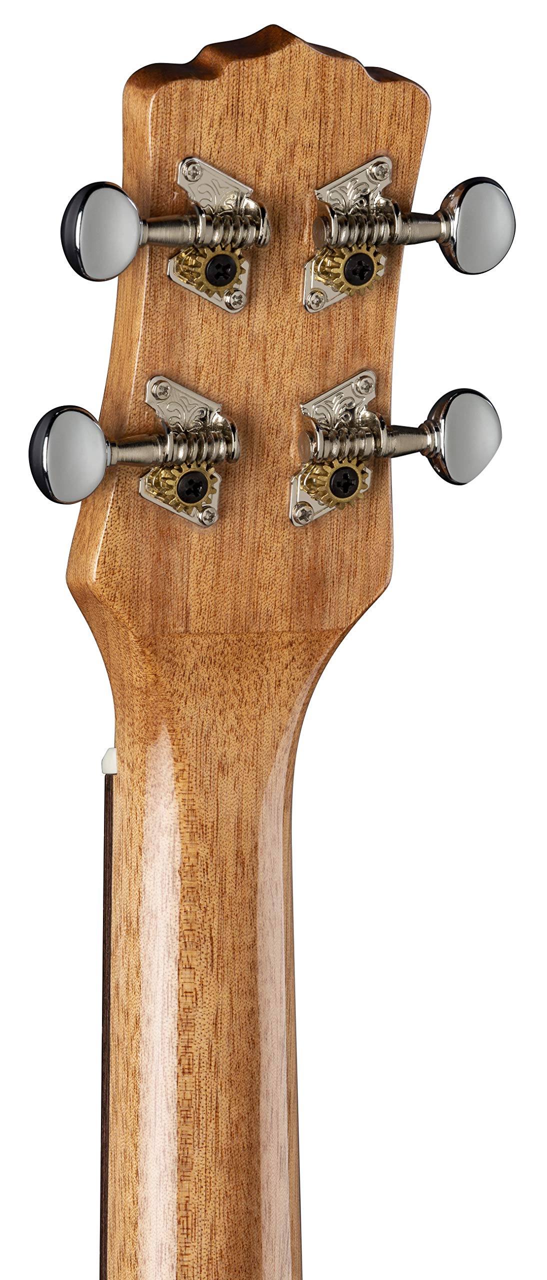 Luna Guitars Ziricote, 4-String Tenor Ukulele with Gigbag (UKE ZIRI T) - Image 5