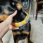 Review Image by Rachel Peters Rachel Peters