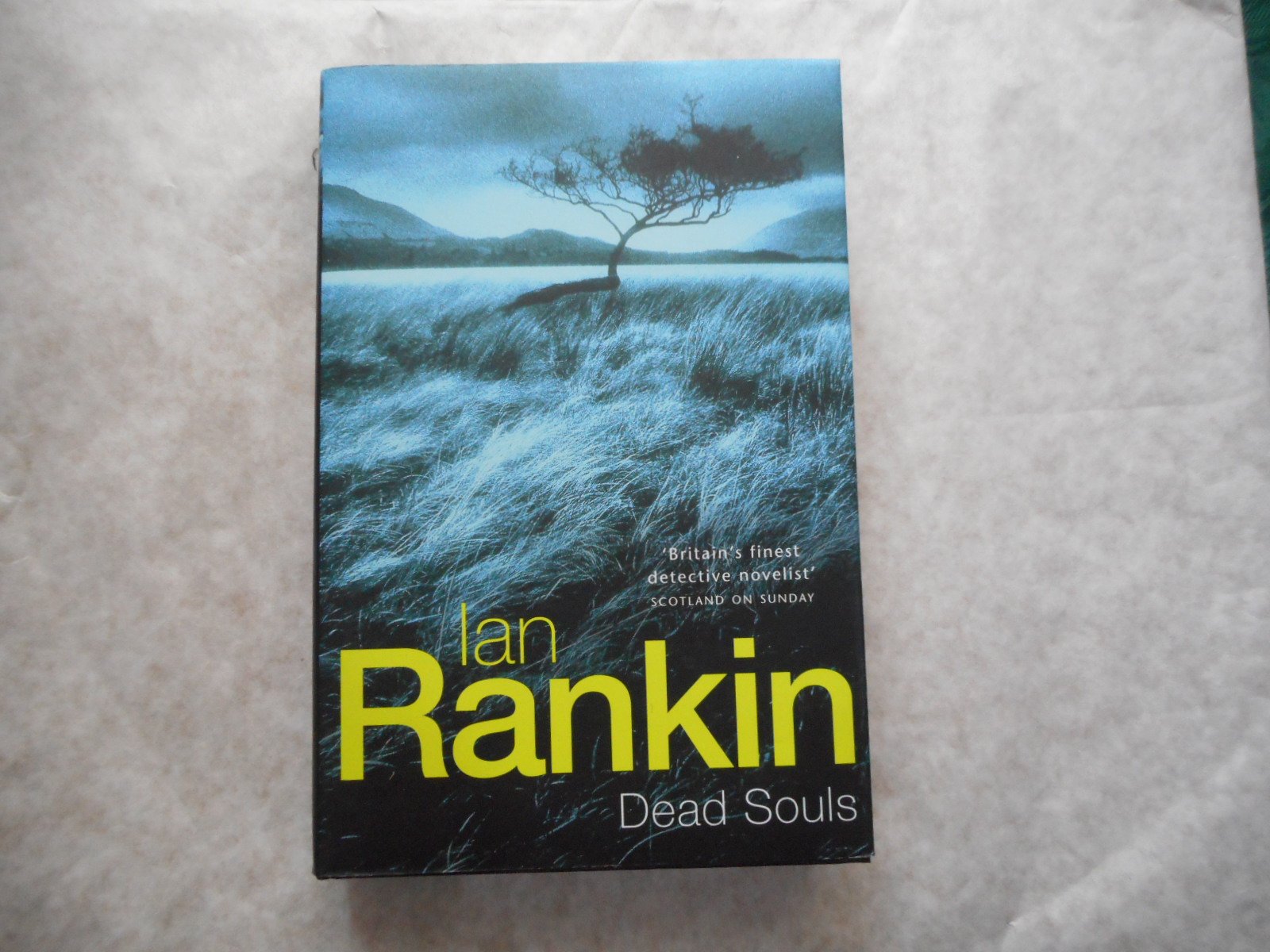 Dead Souls: 10 (Inspector Rebus)